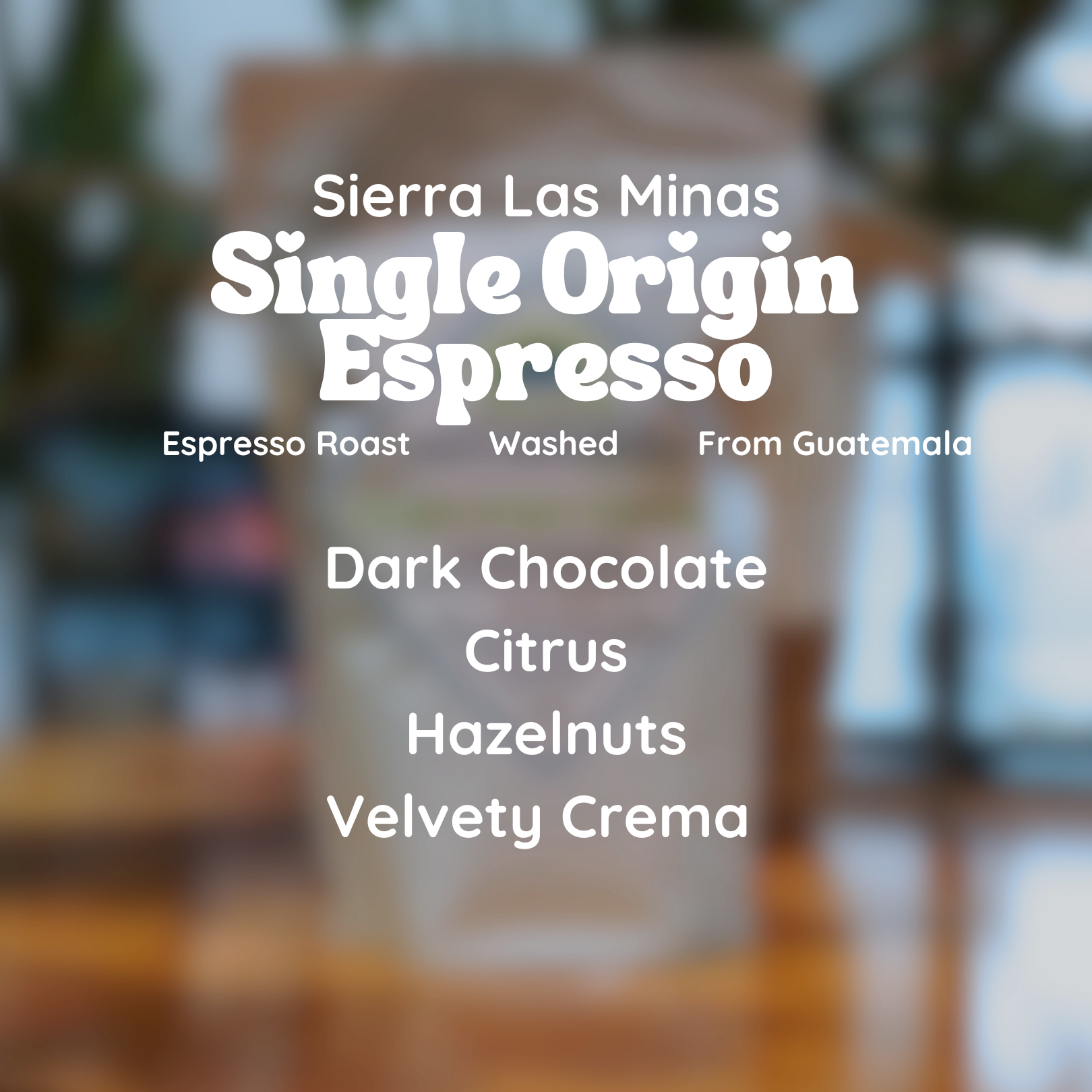 Sierra Las Minas Single Origin Espresso Coffee Beans