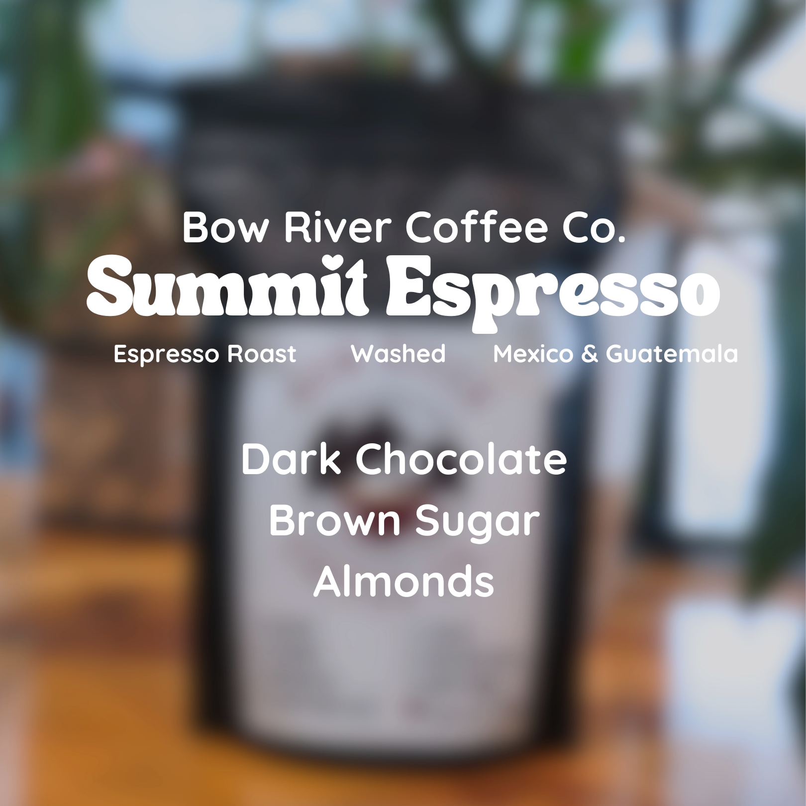 Bow River Coffee Co. Summit Espresso Coffee Beans