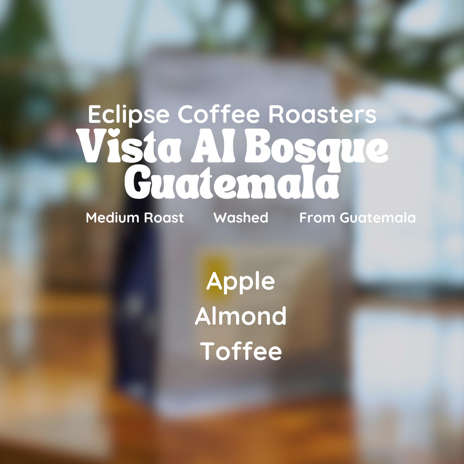 Eclipse Coffee Roasters Vista Al Bosque Guatemala Coffee Beans