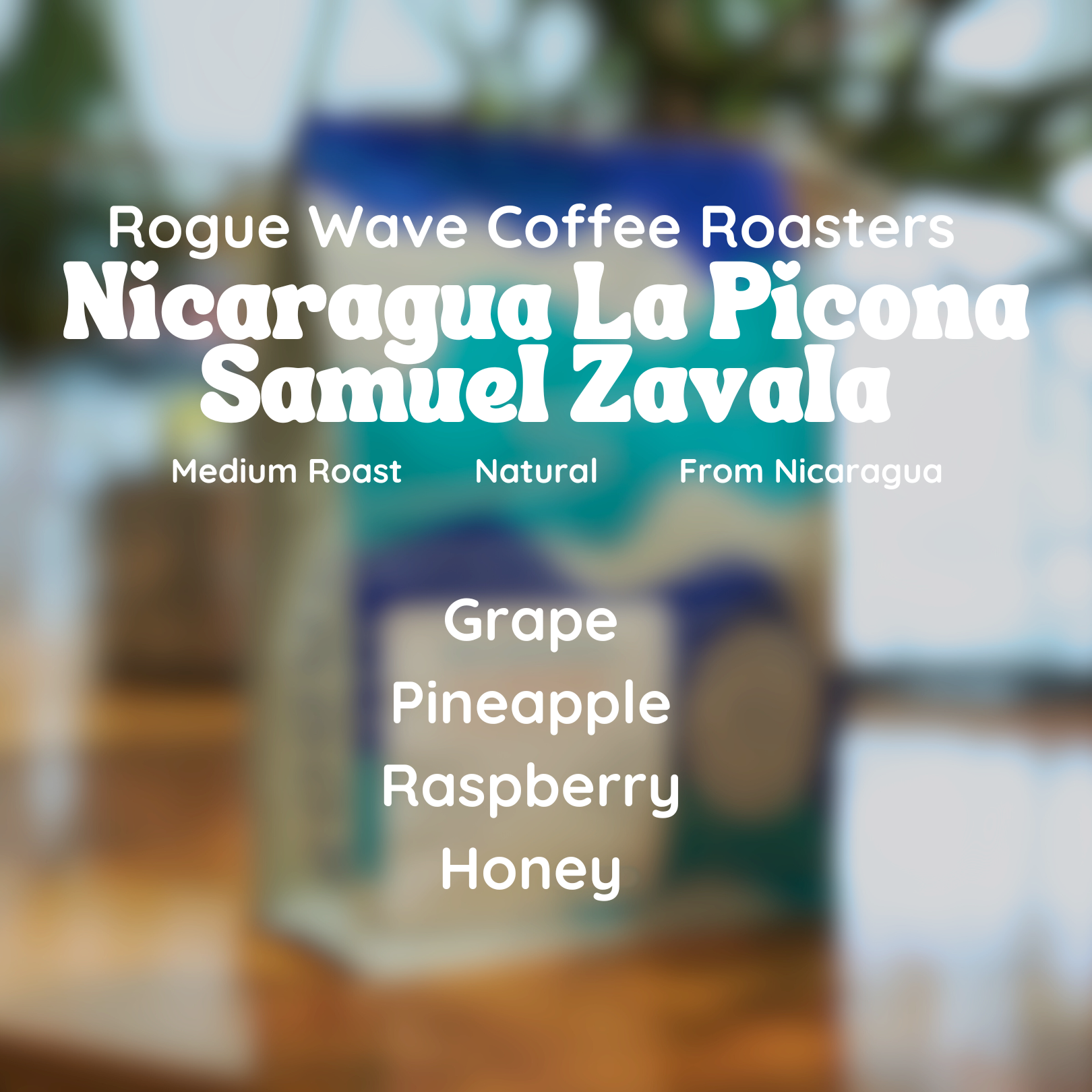 Rogue Wave Nicaragua La Pincona Samuel Zavala Coffee Beans