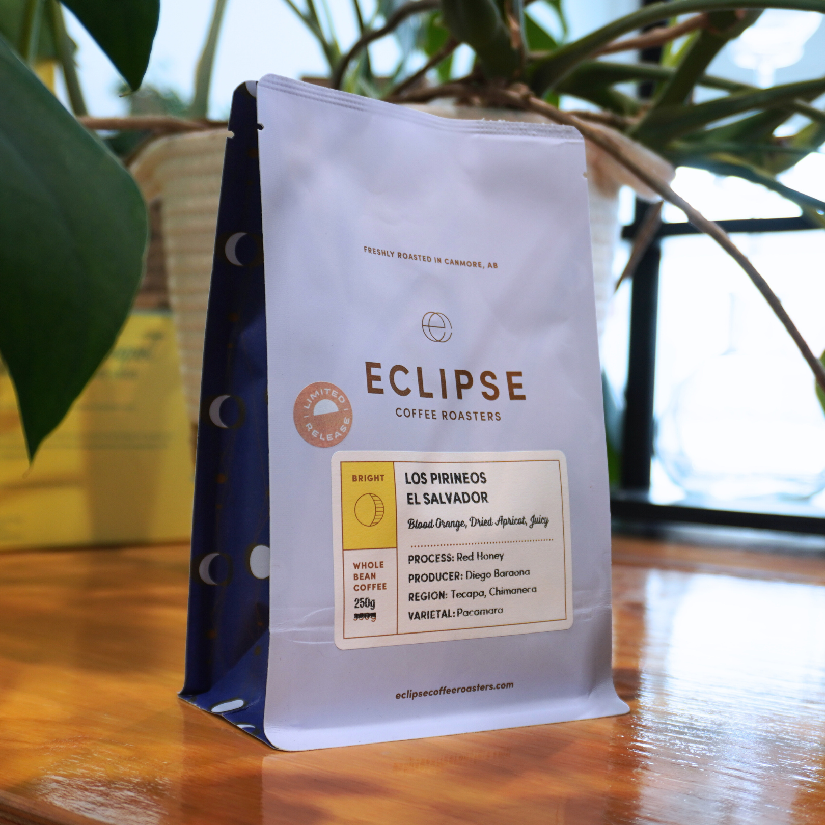 Eclipse Coffee Roasters Limited Release Los Pirineos El Salvador Coffee Beans