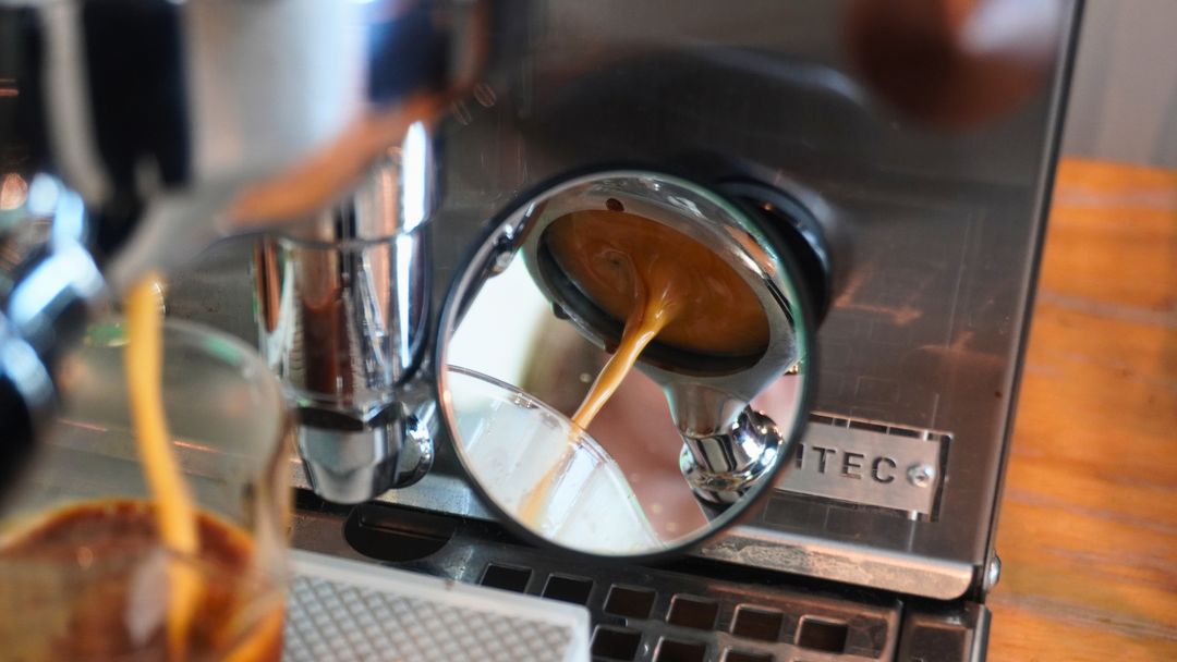 Our Single Origin Stories: Meet Bryce!