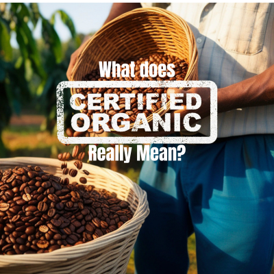 Coffee roaster pouring fresh beans into a basket. Text reads, what does certified organic really mean?