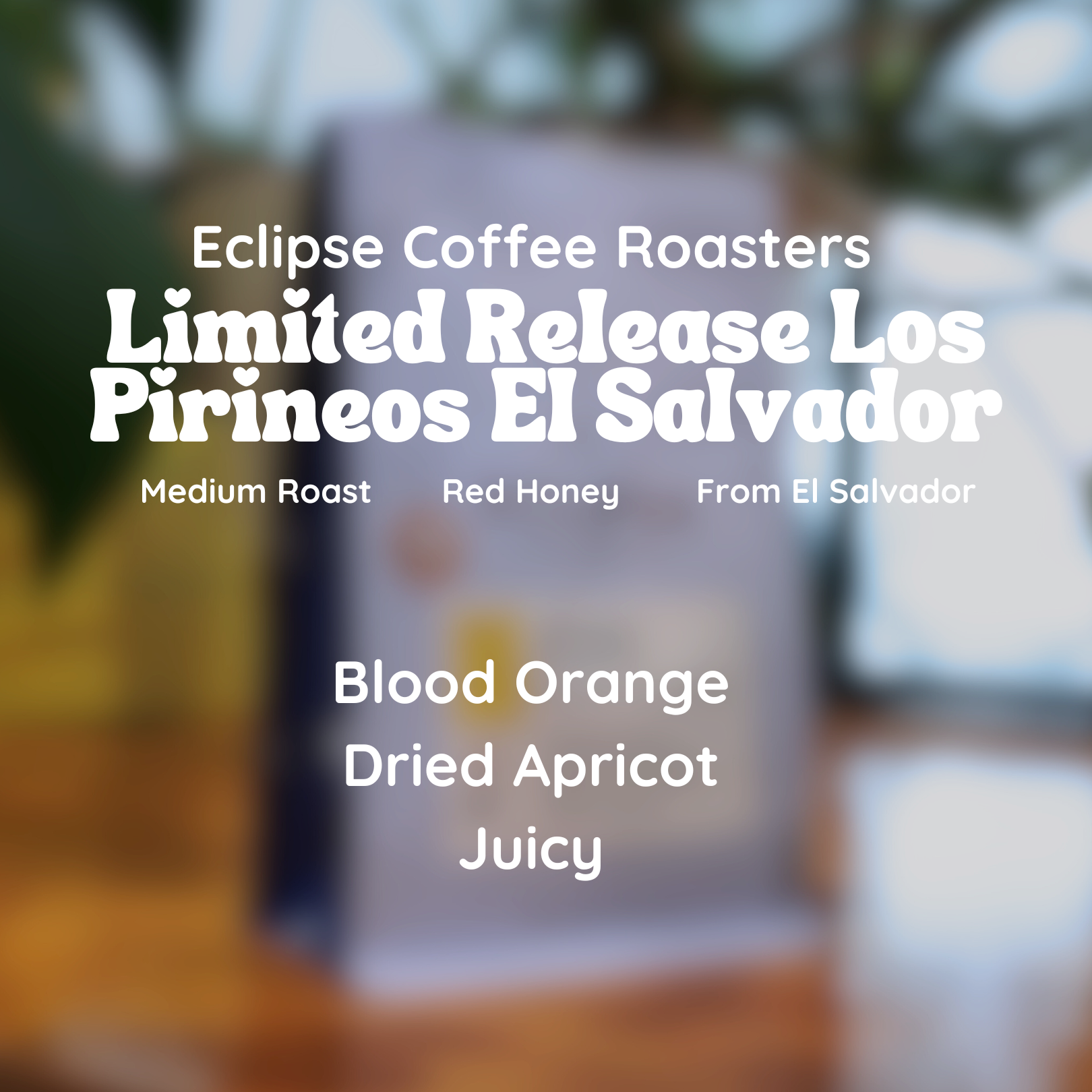 Eclipse Coffee Roasters Limited Release Los Pirineos El Salvador Coffee Beans