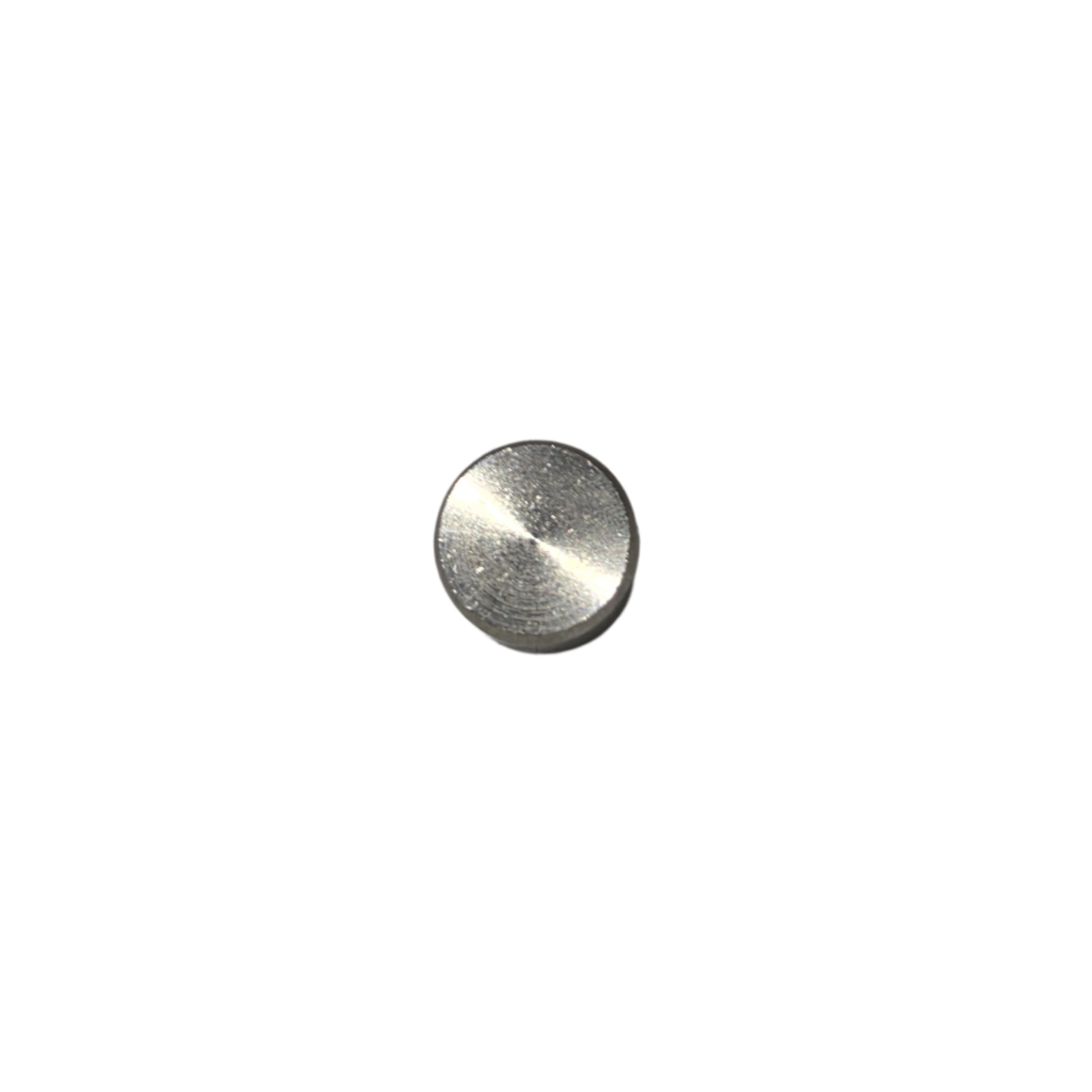 Profitec/ECM Stainless Steel Button
