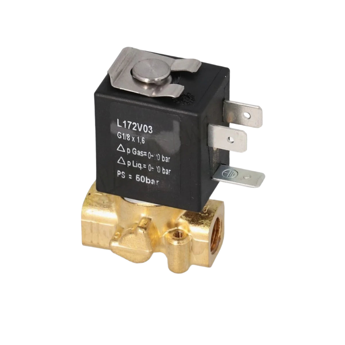 110/120V 1/8" F x 1/8" F Two-Way ASCO 20bar Solenoid