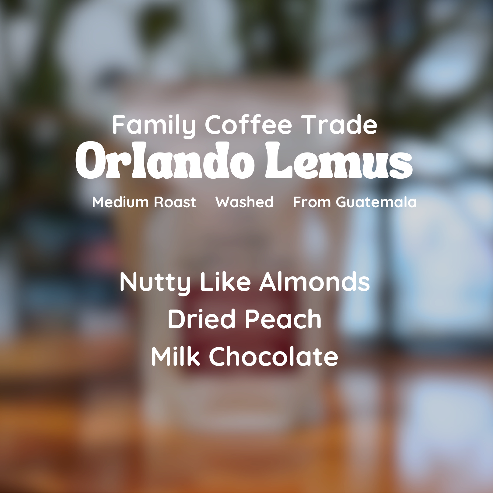 Family Coffee Trade Orlando Lemus Coffee Beans