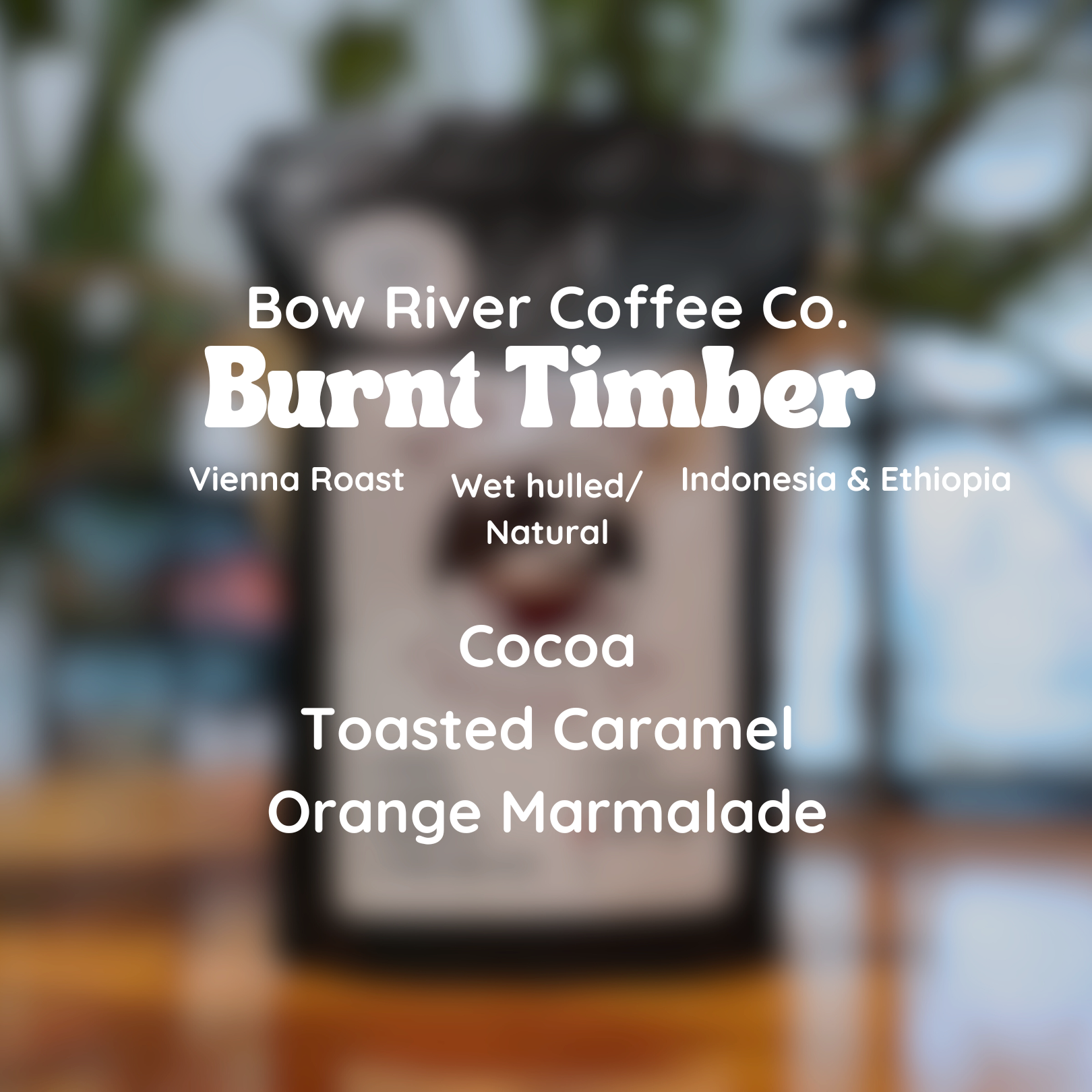 (DISCOUNT) Bow River Coffee Co. Burnt Timber Coffee Beans