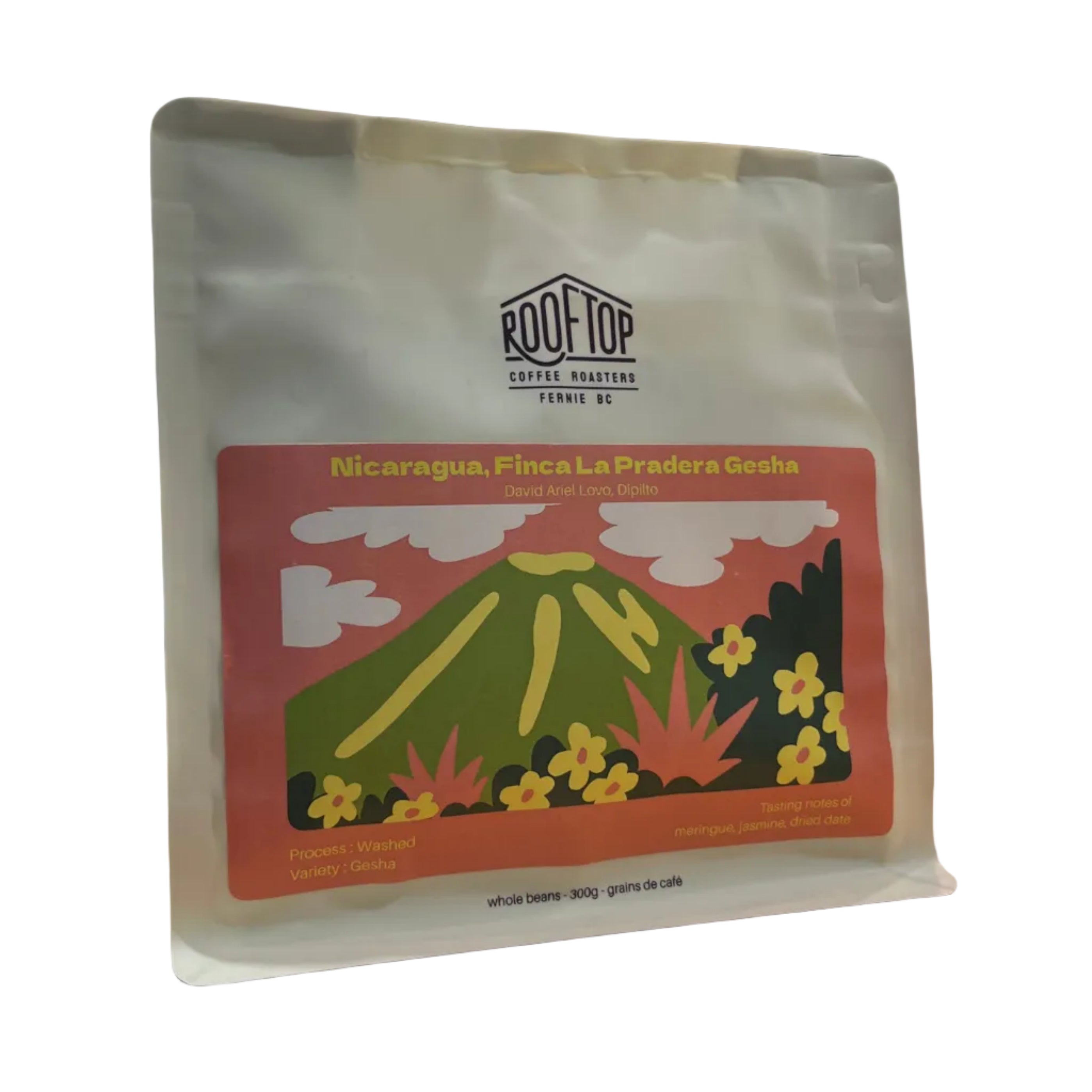 Rooftop - Nicaragua - La Pradera Gesha Coffee Beans