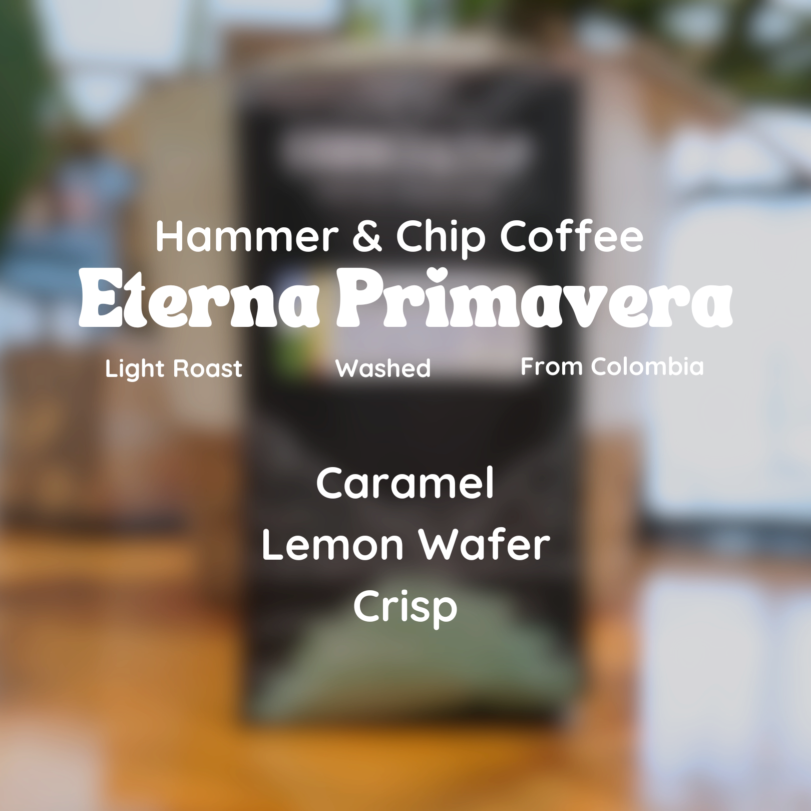 Hammer & Chip Eterna Primavera Coffee Beans