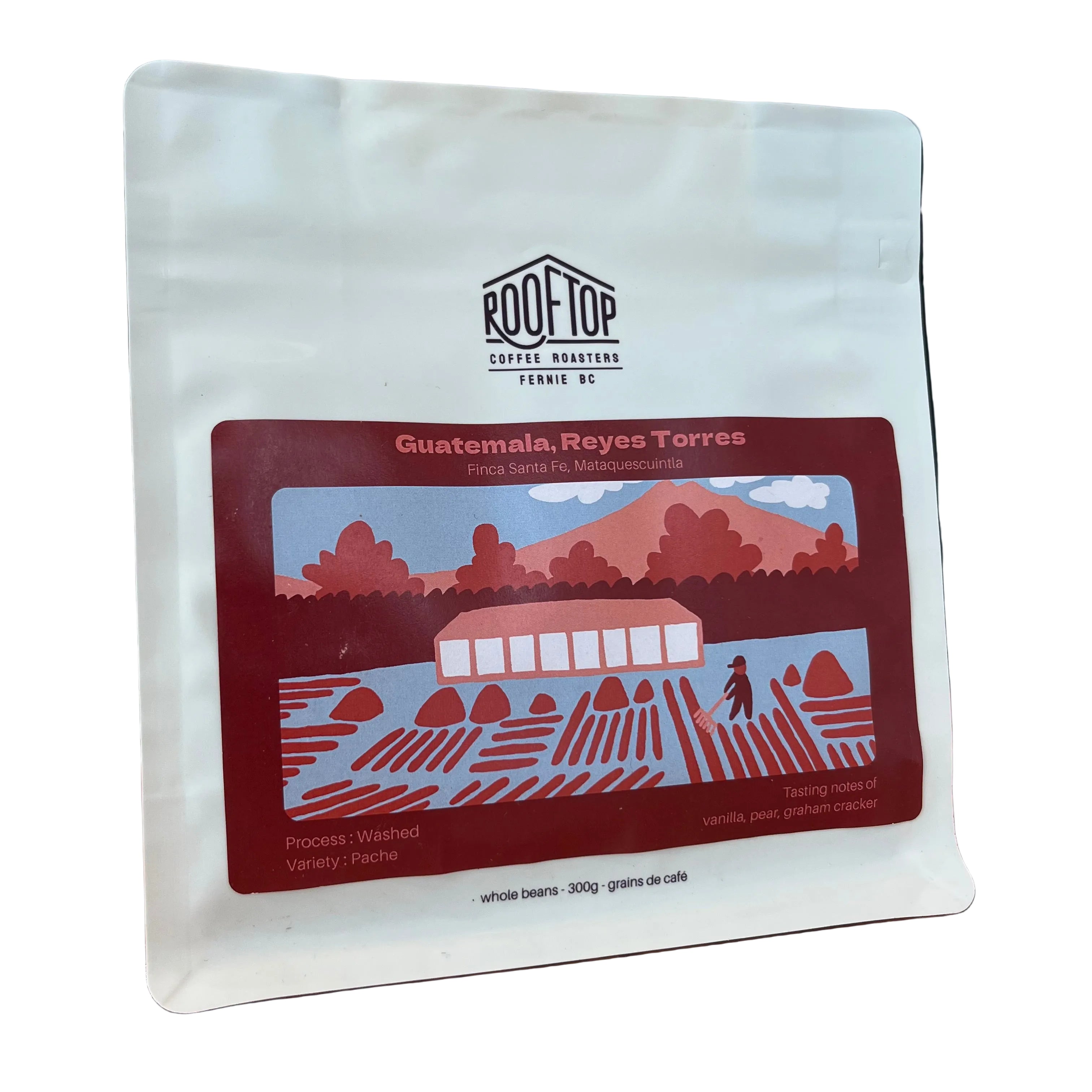 Rooftop - Guatemala - Reyes Torres Coffee Beans