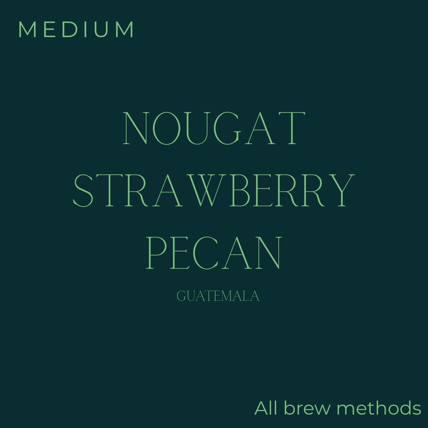 Subtext - Guatemala - Aracely Perez Batch Brew Filter Coffee Beans