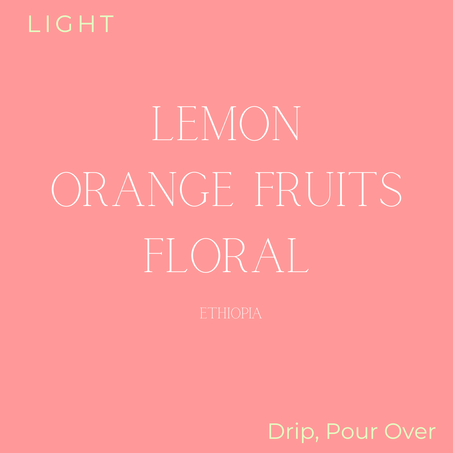 Birdy Coffee Co. Ethiopia Biru Bekele Coffee Beans