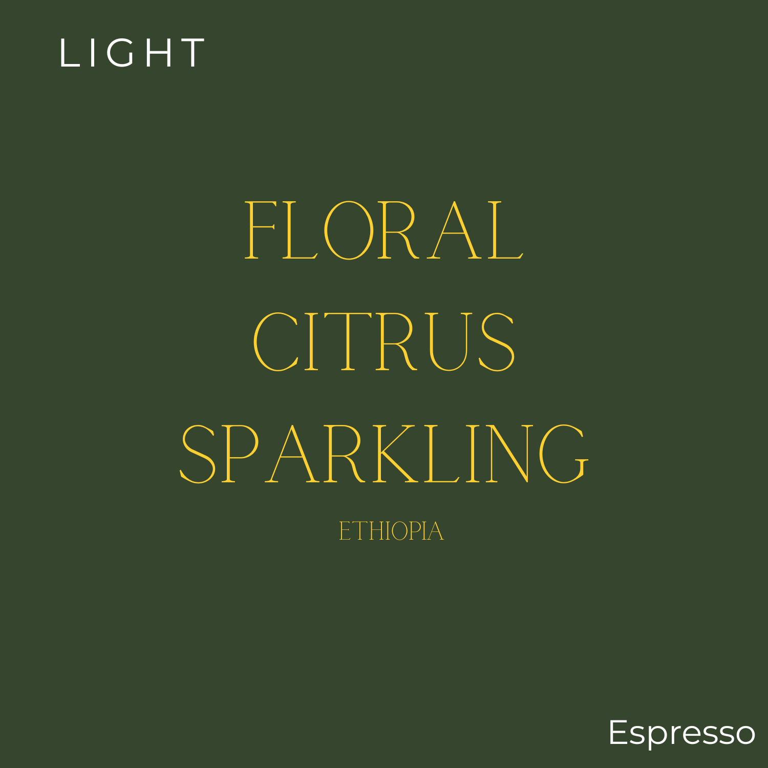 Detour Coffee Bouncy Castle Espresso Coffee Beans