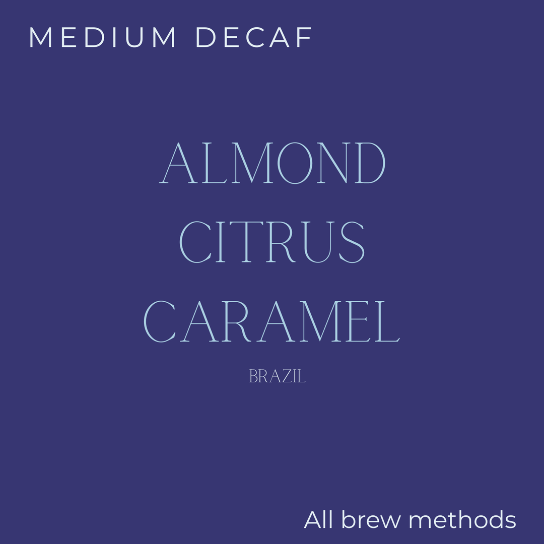 (DISCOUNT) Sought x Found - Brazil - Fazenda Um Mundo Novo Decaf Coffee Beans