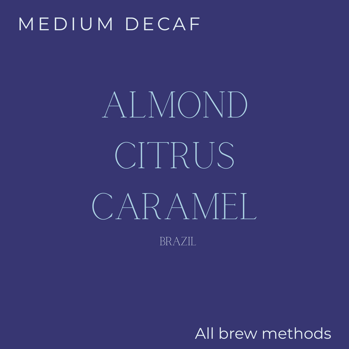 (DISCOUNT) Sought x Found - Brazil - Fazenda Um Mundo Novo Decaf Coffee Beans