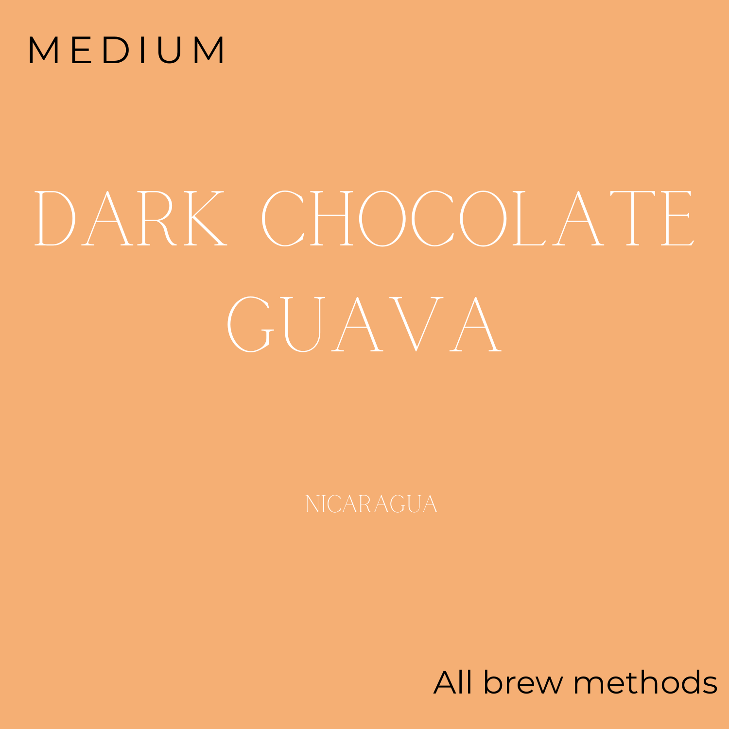 (DISCOUNT) Kingdom Coffee Bridge Coffee Beans