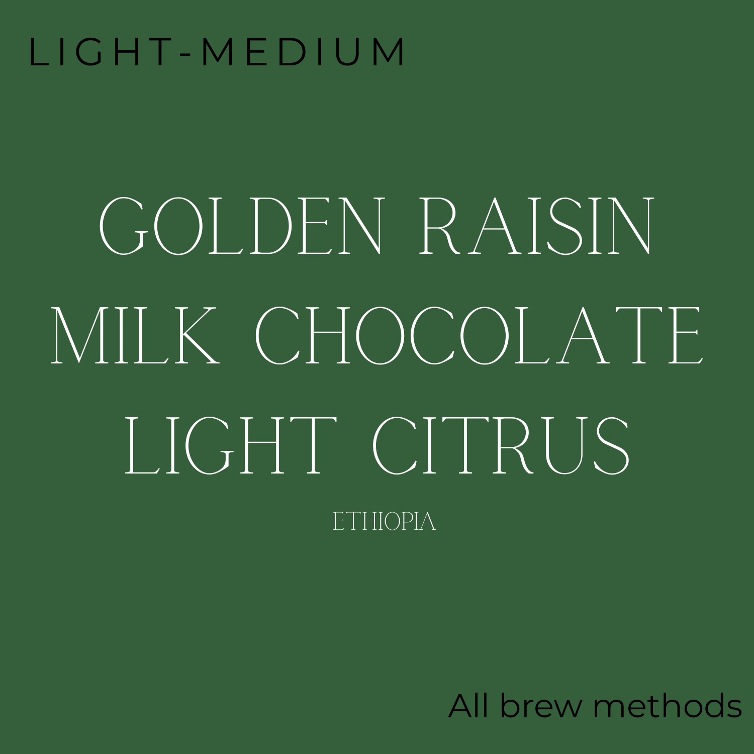 Brewed Daily Brunch Brew Coffee Beans