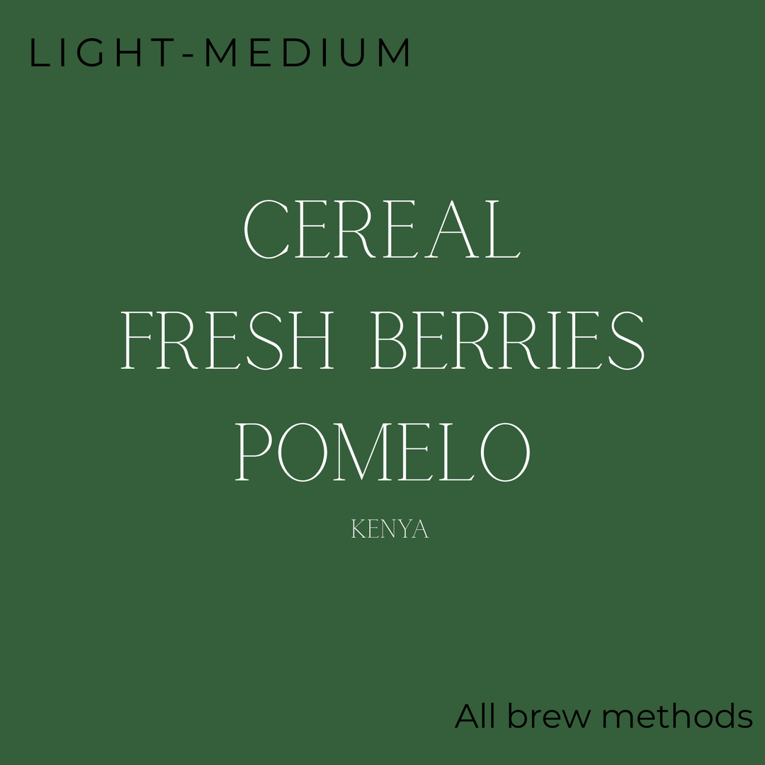 Brewed Daily - Brunch Brew Coffee Beans