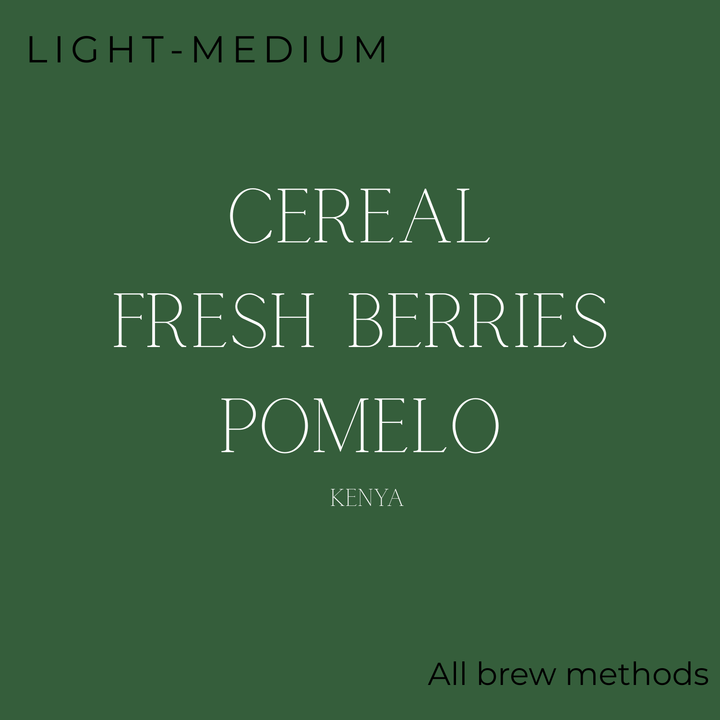 Brewed Daily - Brunch Brew Coffee Beans