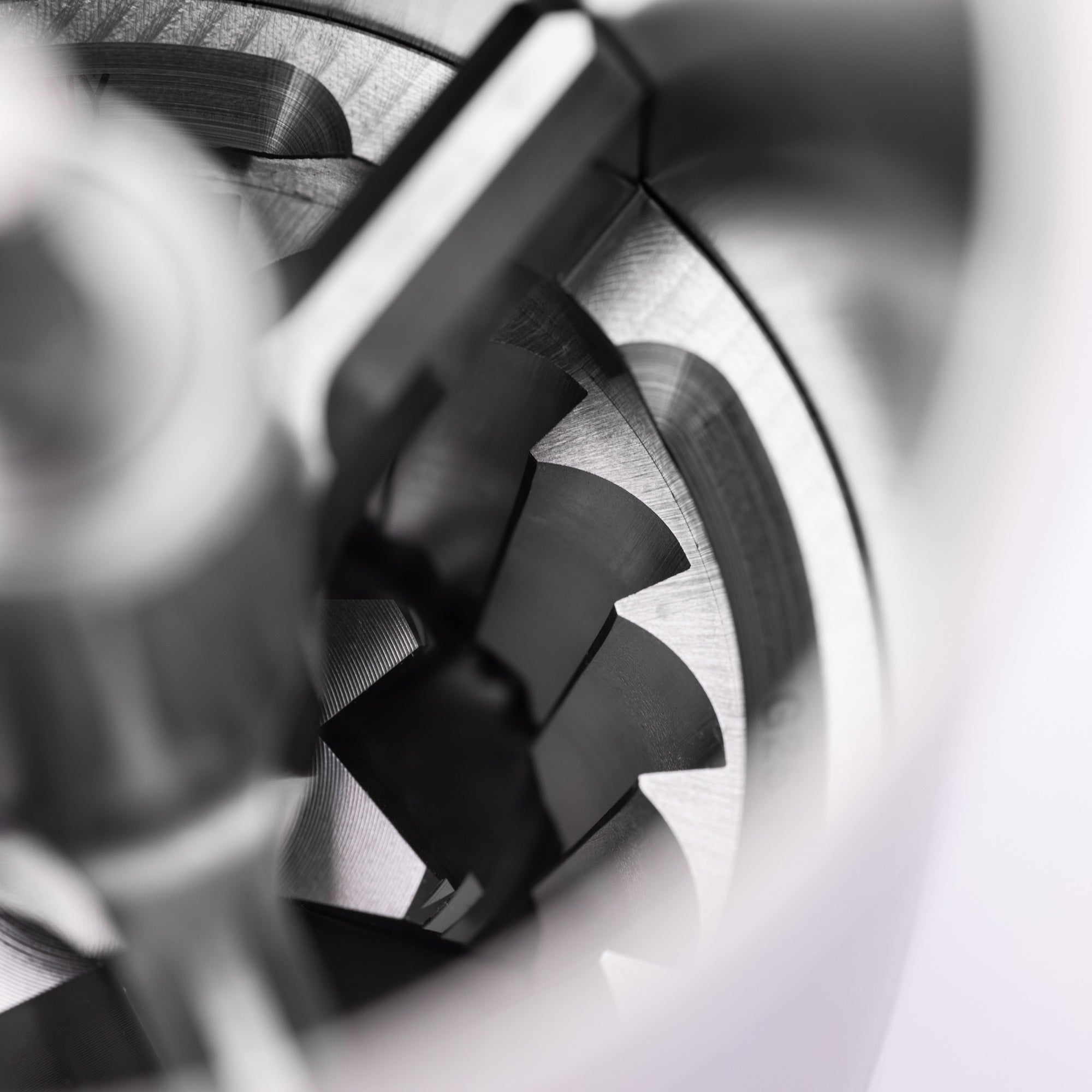 Comandante C60 Baracuda