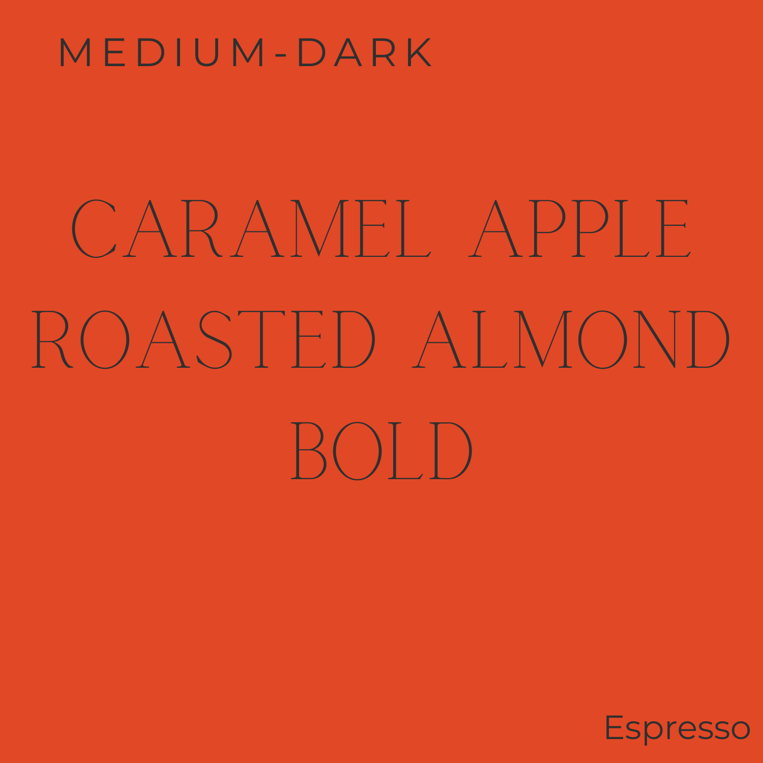 Dark Woods Camper Blend Coffee Beans