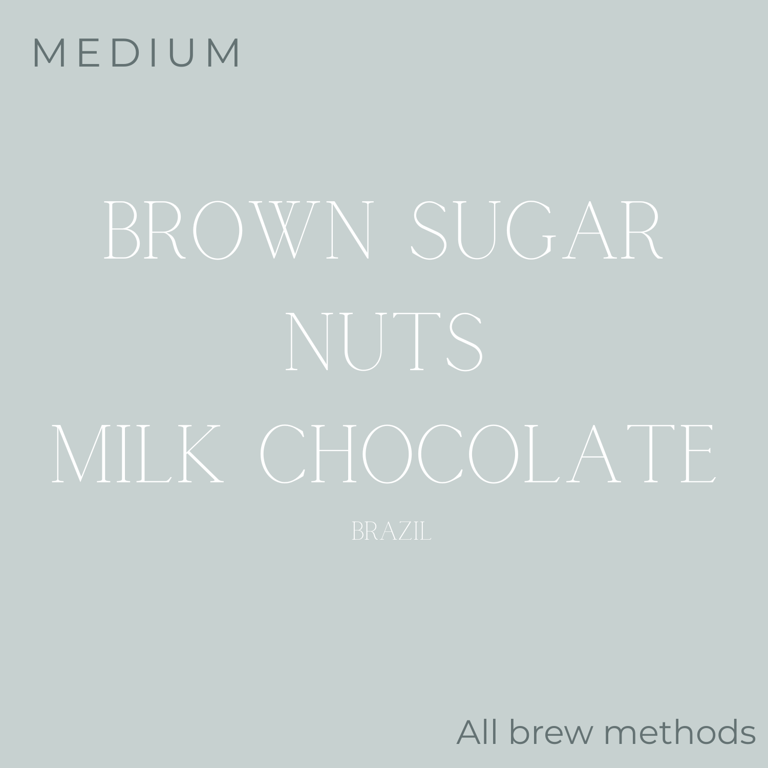(DISCOUNT) Anecdote Coffee Roasters Ciro Dias Coffee Beans