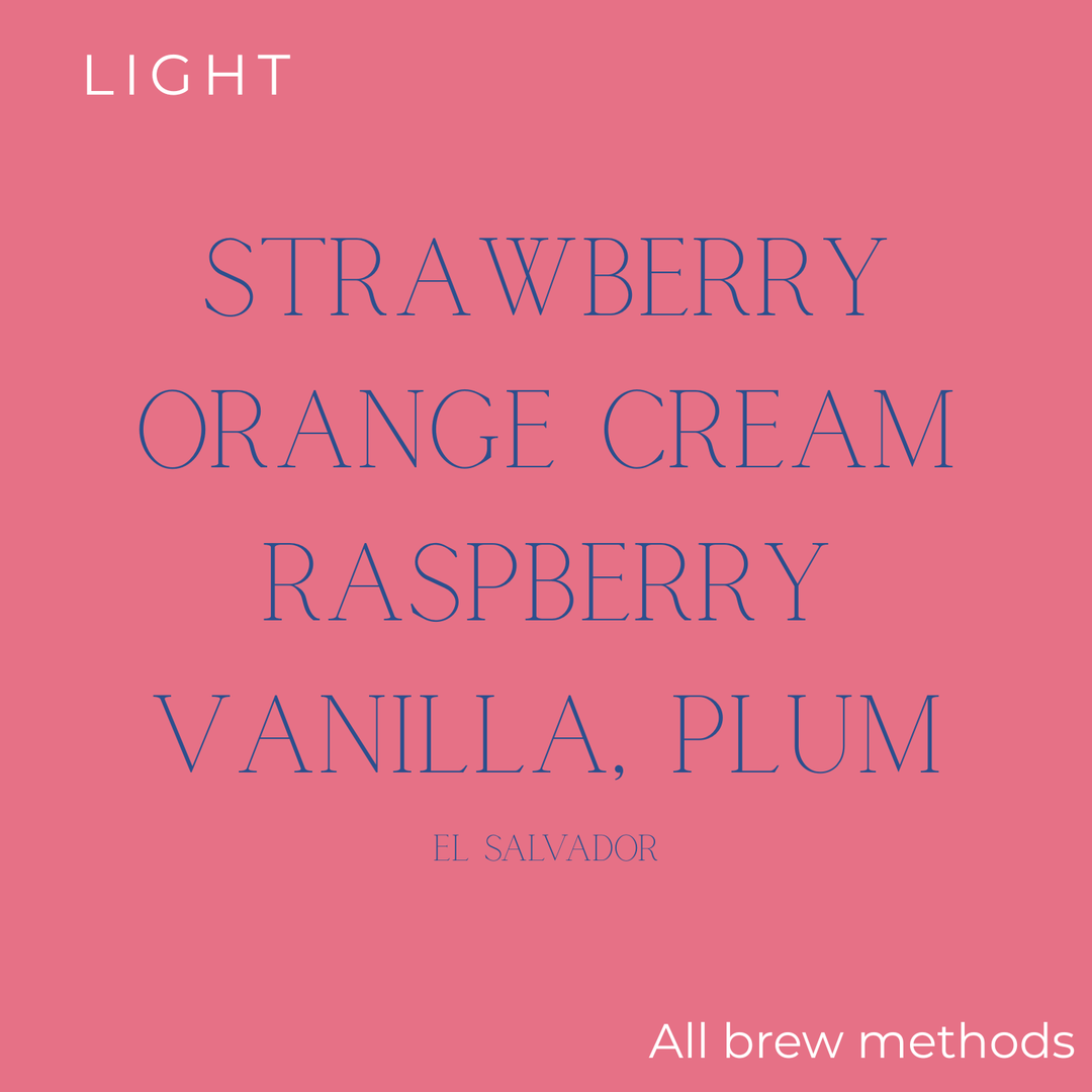 Rogue Wave - Colombia - El Placer Red Fruit Co-Fermented EA Decaf Coffee Beans