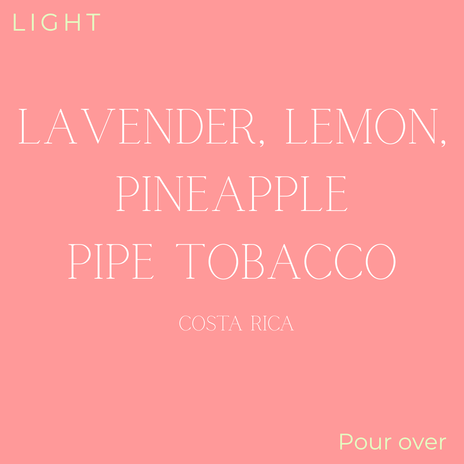 Birdy Coffee Co. COSTA R\CA Coffea Diversa Winey Geisha Coffee Beans