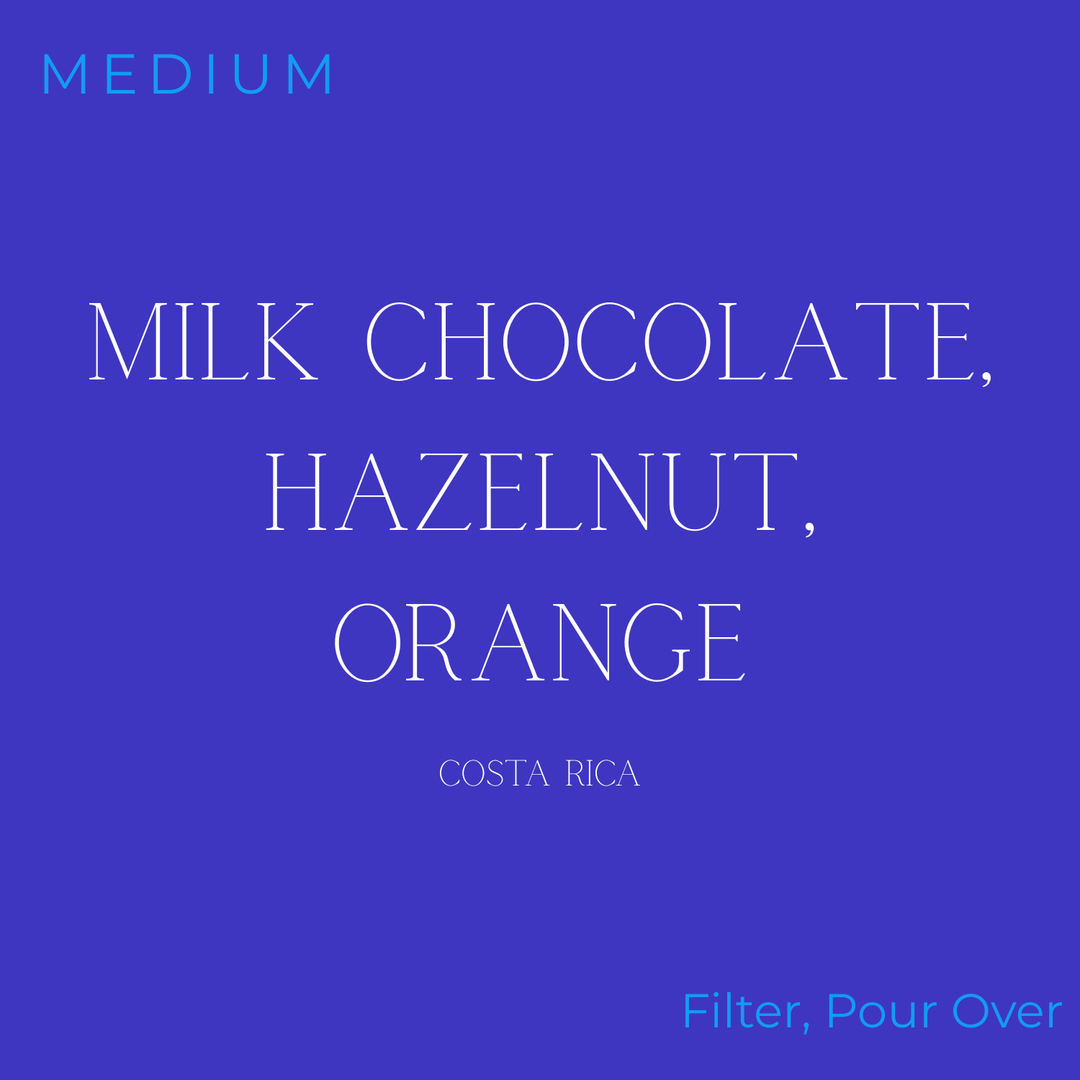 Gravity - Costa Rica - Bloodstream Single Origin Coffee Beans