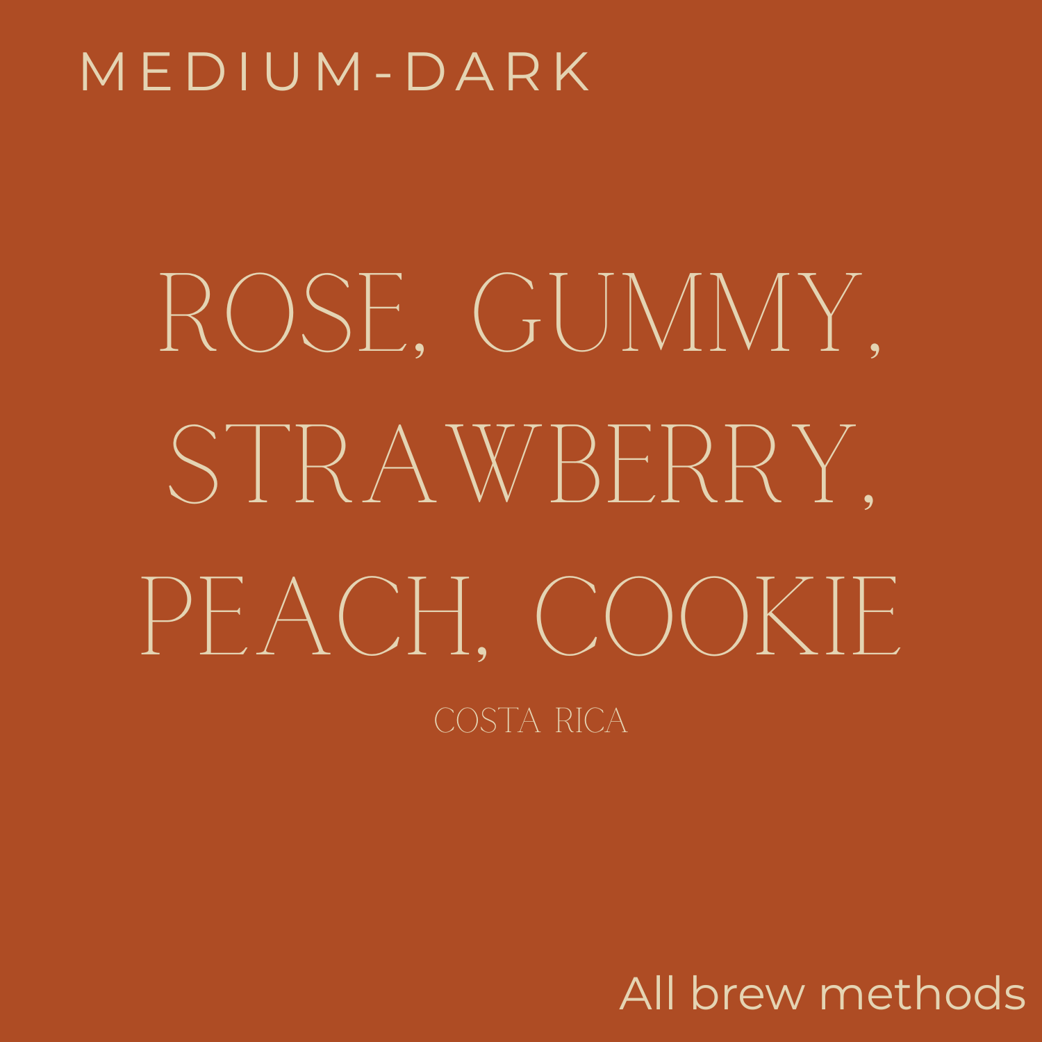 (DISCOUNT) Too Good Costa Rica Musician Mozart Coffee Beans