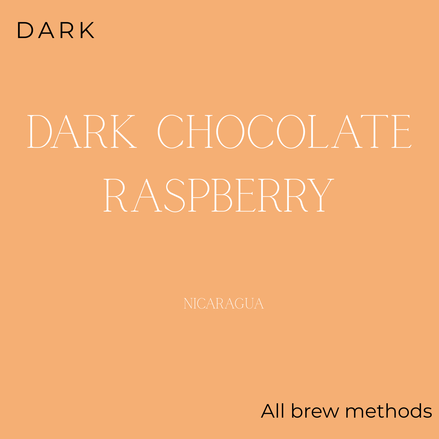 Kingdom - Dark Honey Coffee Beans