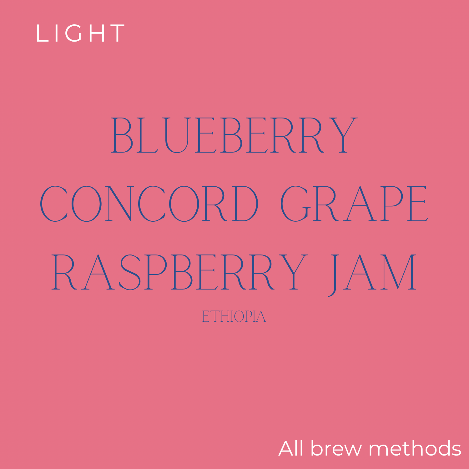 Rogue Wave Ethiopia - Basha Bekele White Honey Coffee Beans