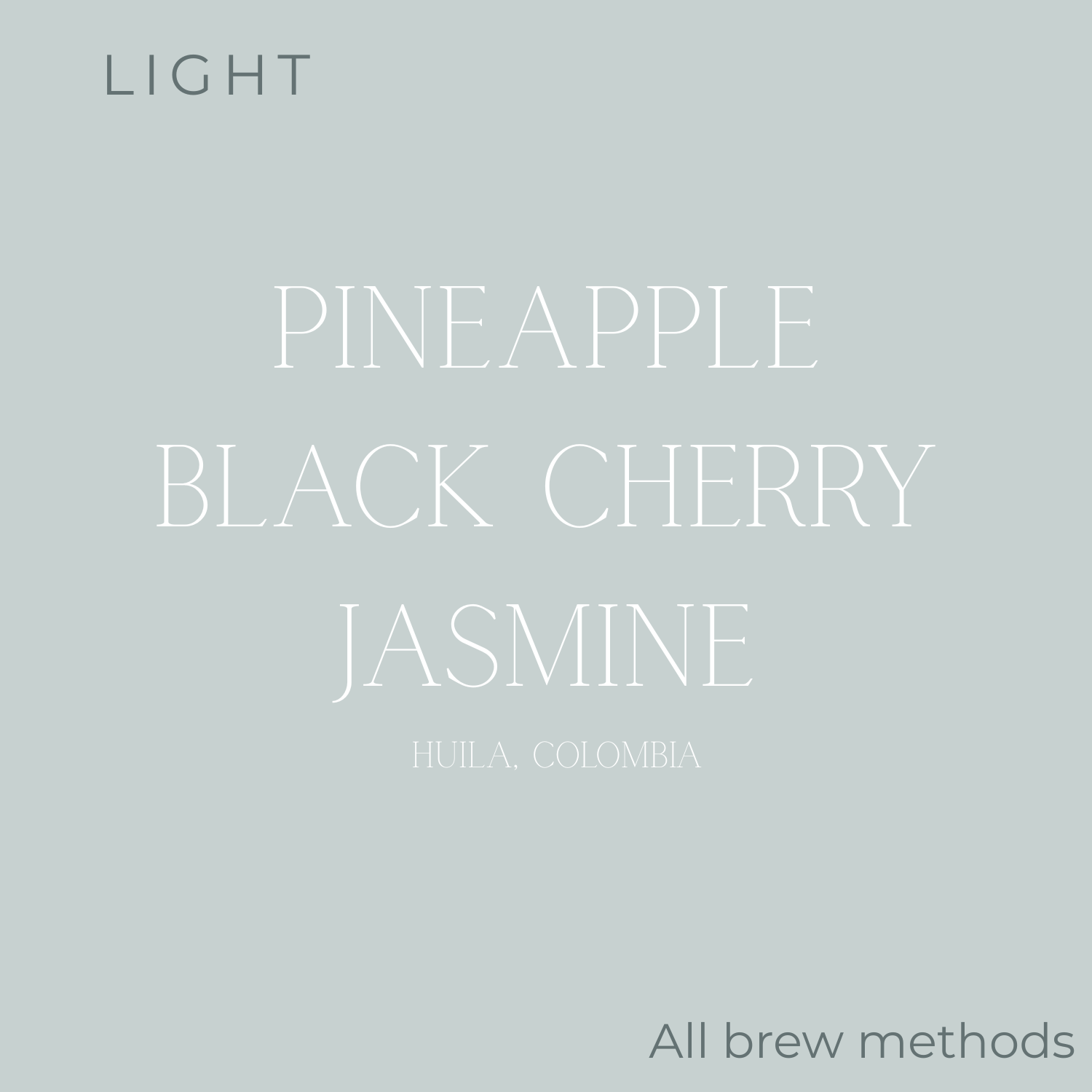 Anecdote Coffee Roasters Elias Bayter Java El Eden Coffee Beans