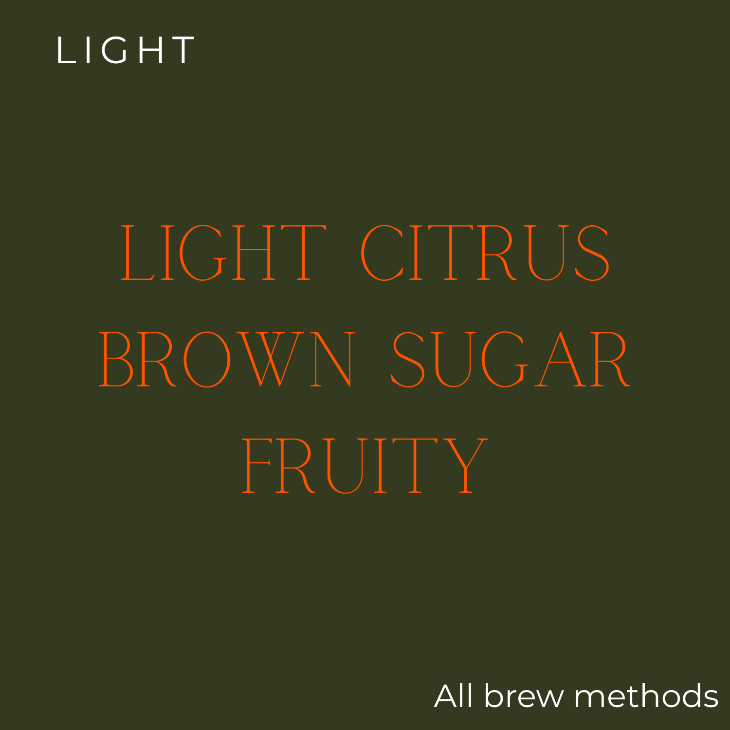 Fire Bean - EMBER - Bright & Luminous Coffee Beans