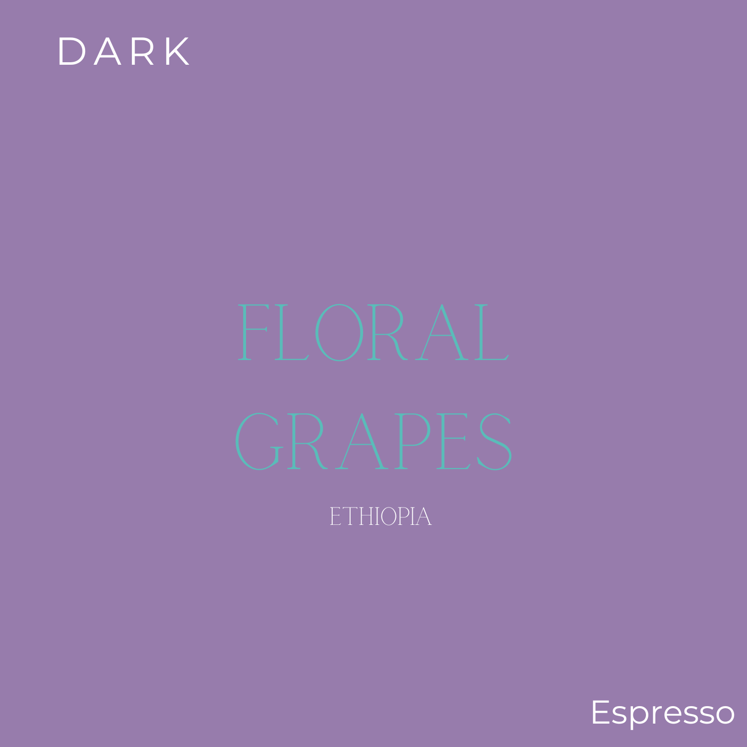 Crickle Creek - Ethiopia Coffee Beans