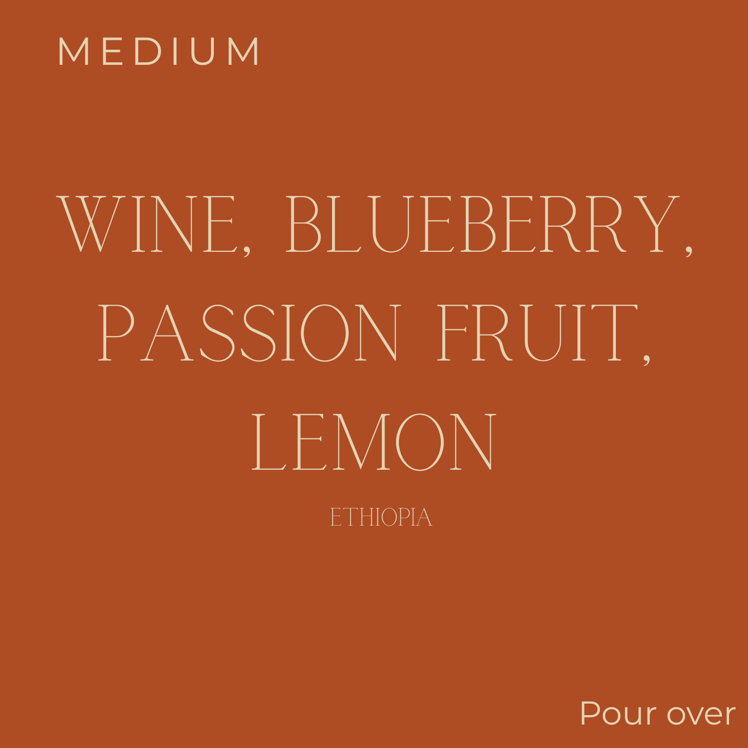 (DISCOUNT) Too Good Ethiopia Guji Sweet Moonshine	 Coffee Beans