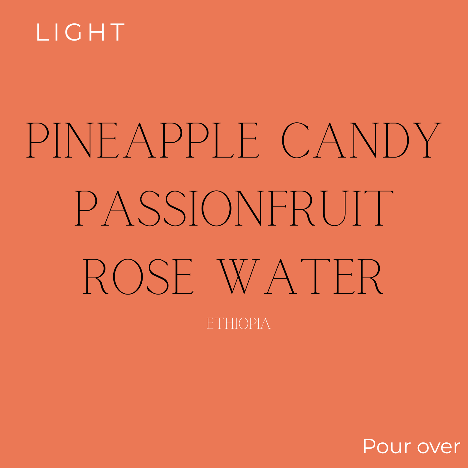 Smoking Gun Ethiopia Worka Sakaro Coffee Beans