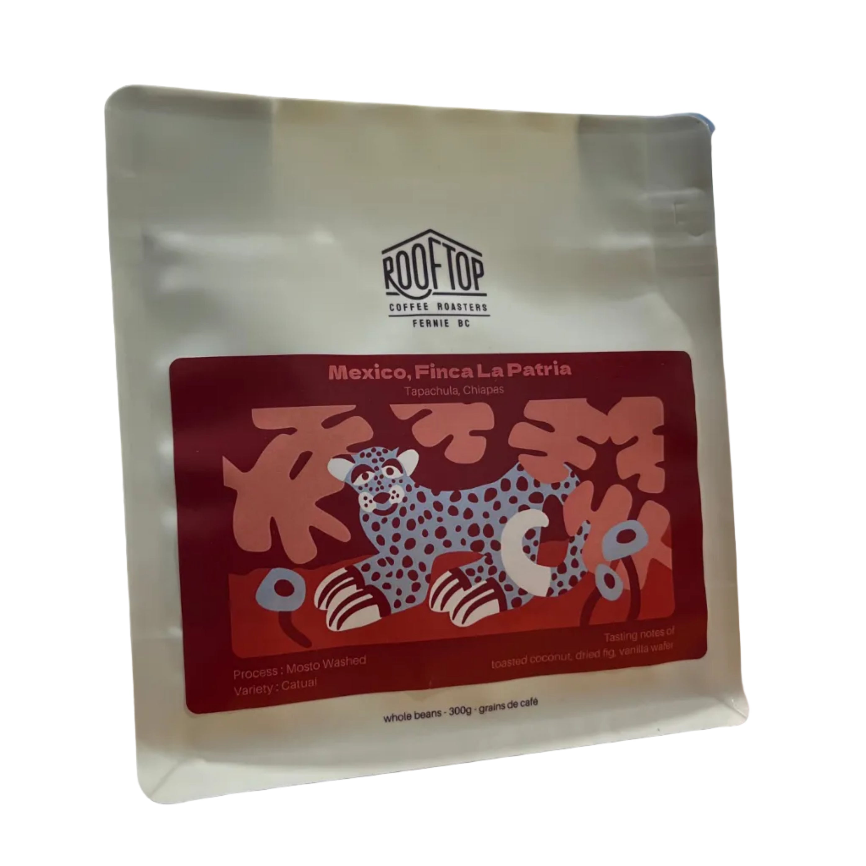 Rooftop - Mexico - Finca La Patria Washed Coffee Beans