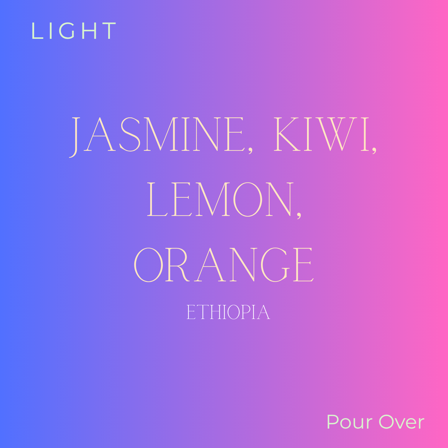 Pro-file Coffee Ethiopia Faficho Bombe Coffee Beans