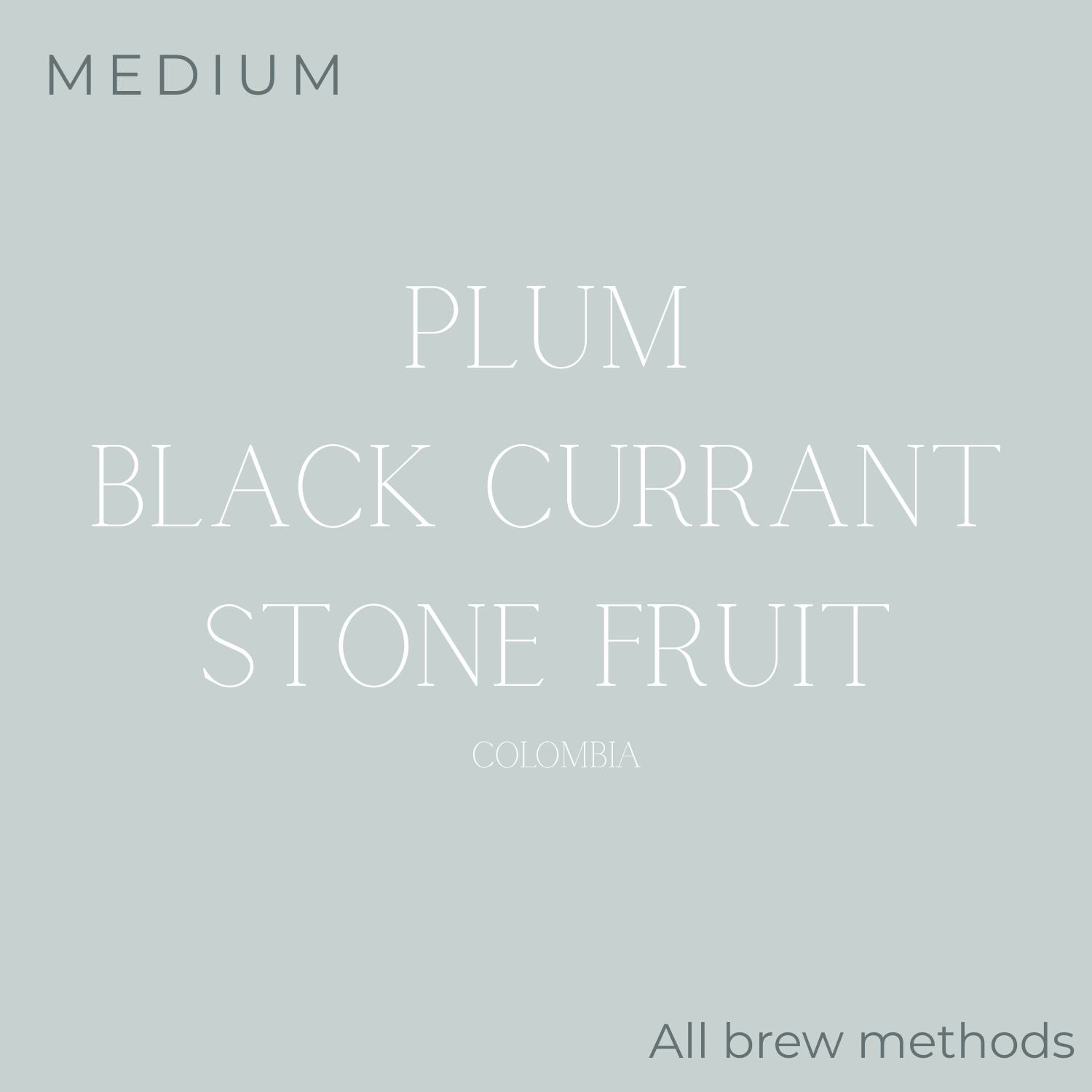 (DISCOUNT) Anecdote Coffee Roasters Fairytale Coffee Beans