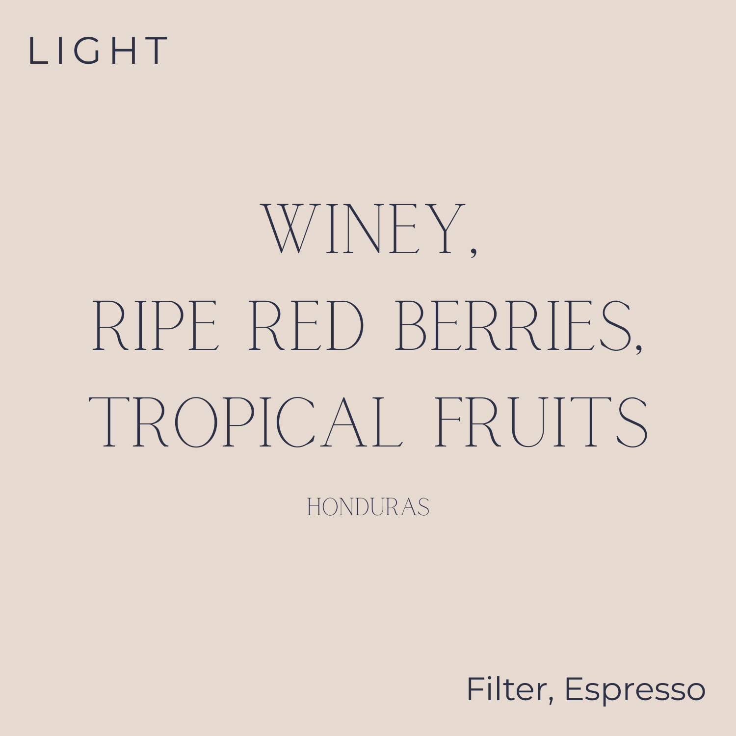 (DISCOUNT) Tim Wendelboe - Honduras - Finca el Puente Pacamara Coffee Beans