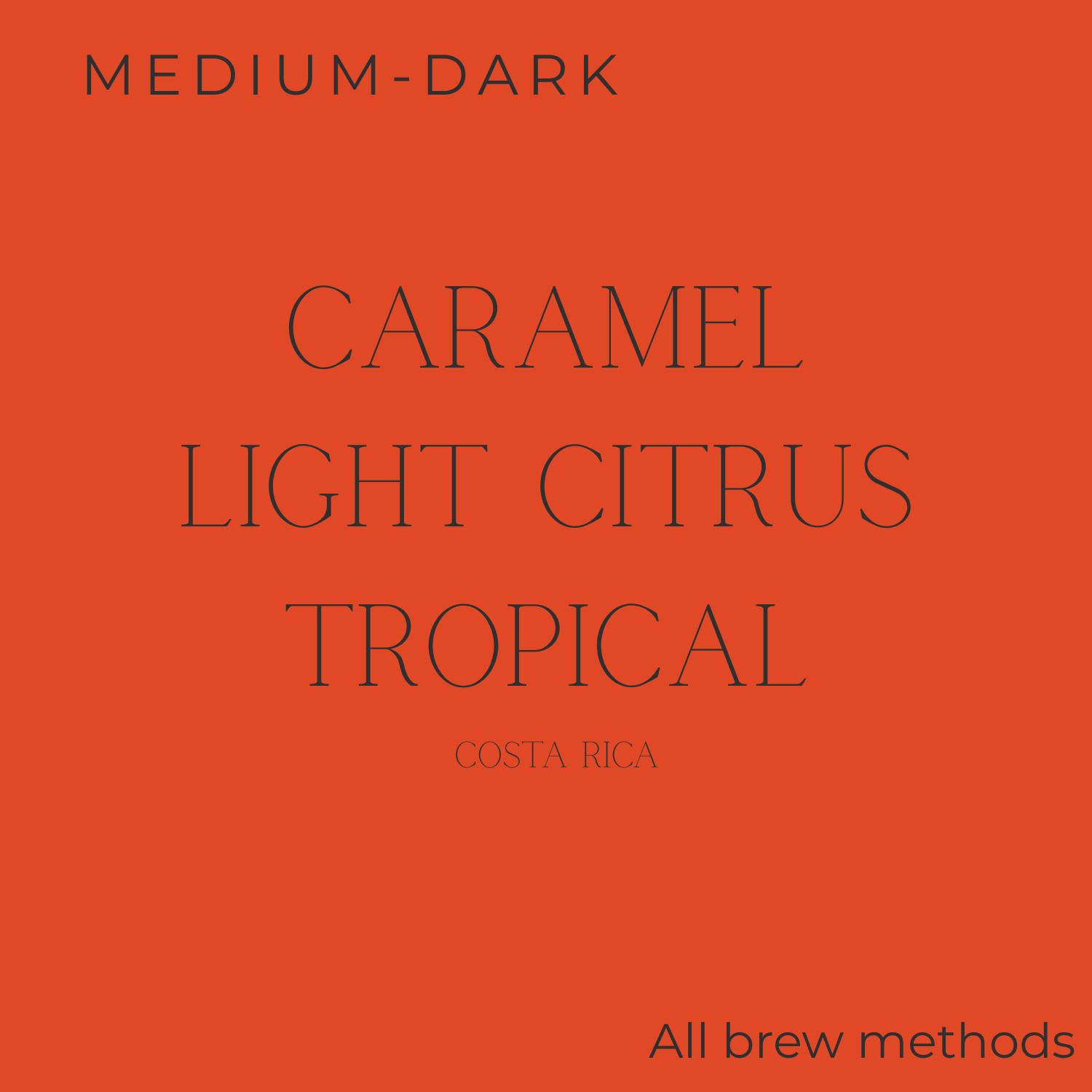 Dark Woods Fisherman Coffee Beans