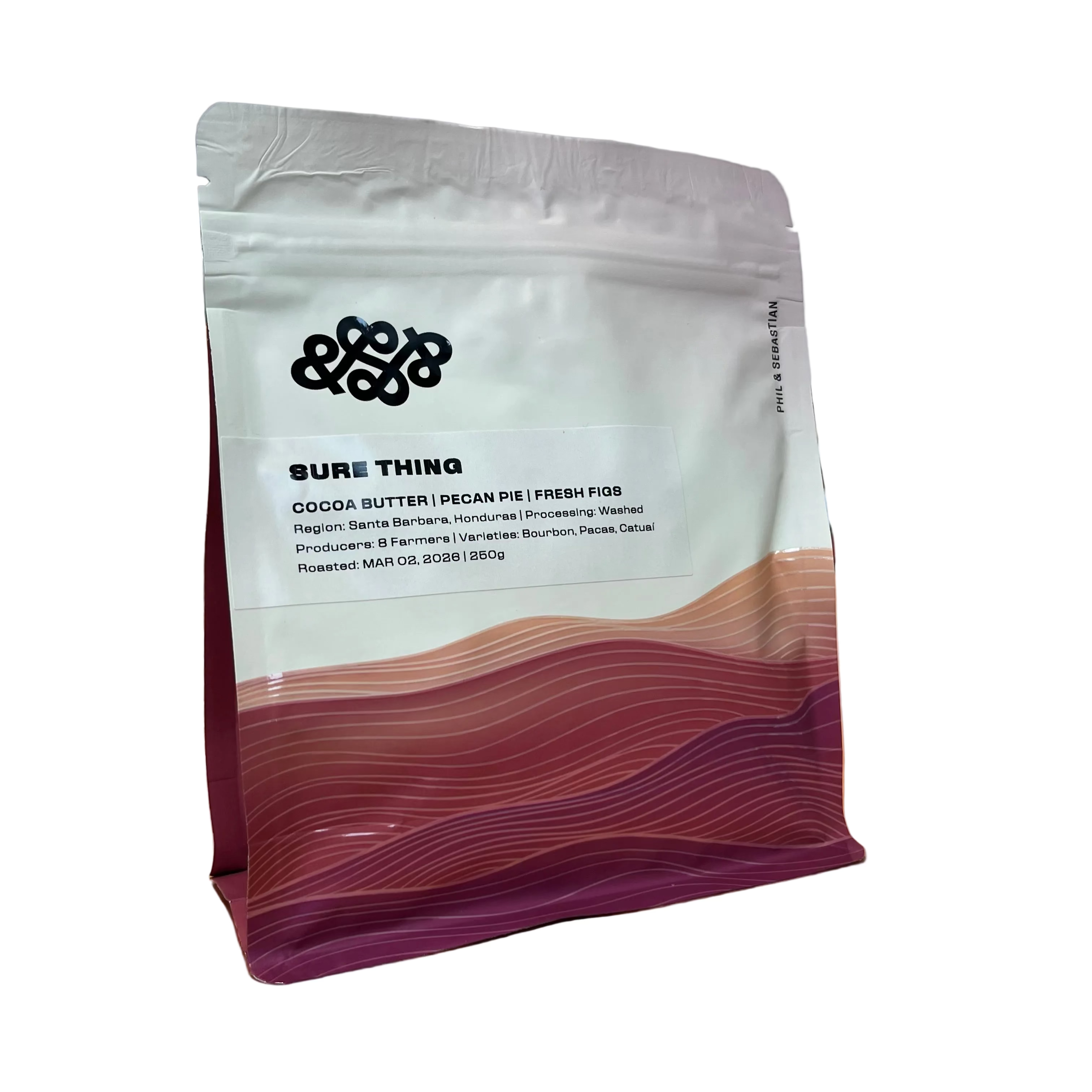 Phil & Sebastian - Sure Thing Coffee Beans