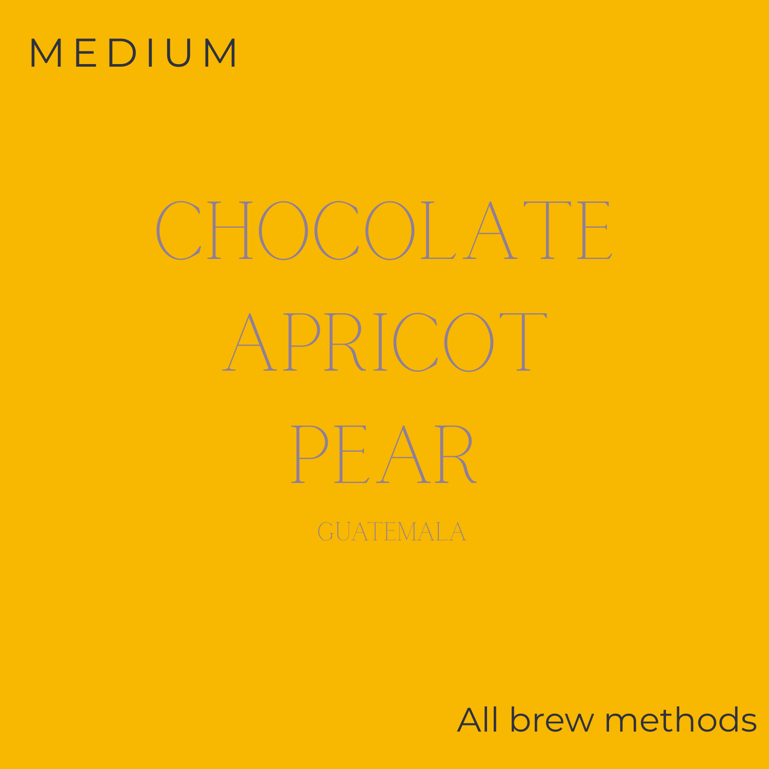 Thom Bargen - Guatemala - El Bosque Coffee Beans