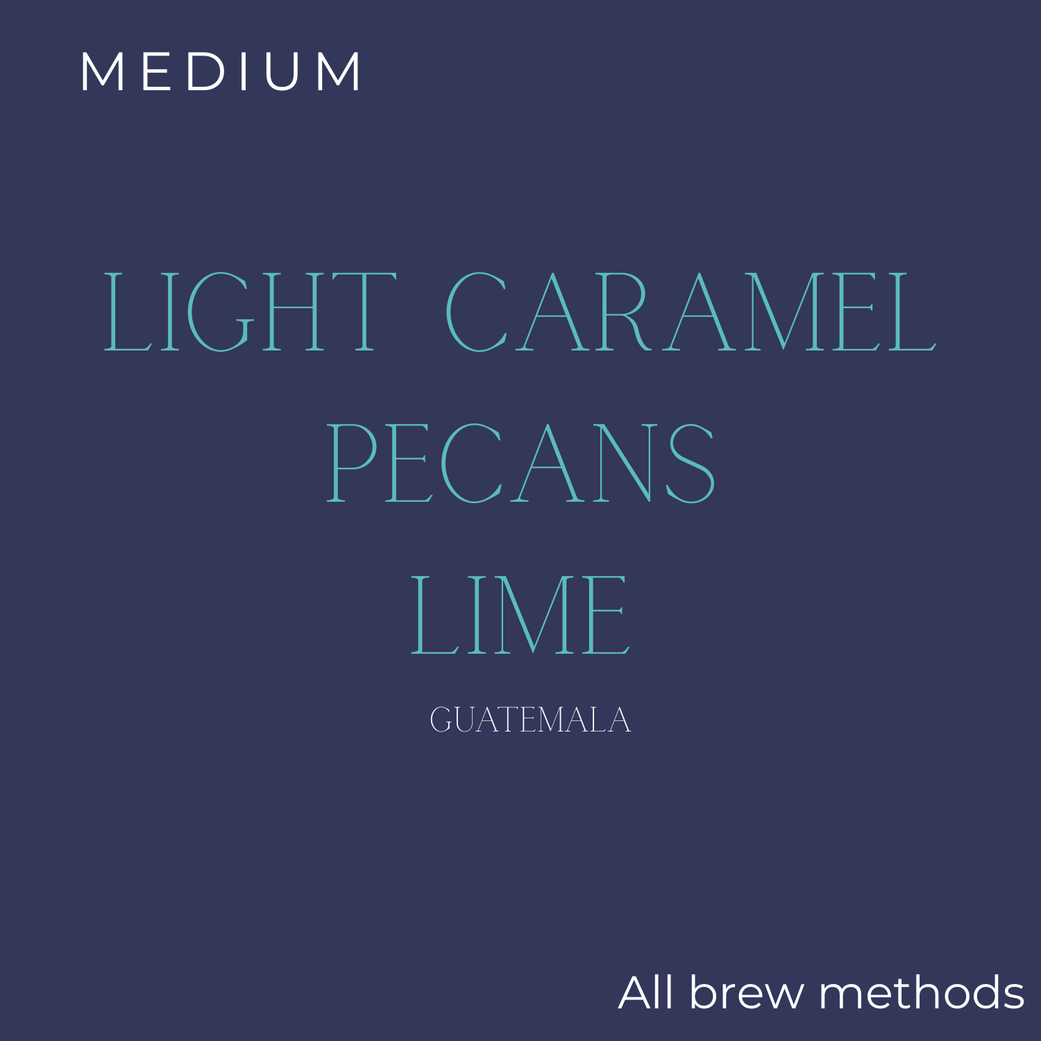 (DISCOUNT) Kafka's Coffee Guatemala Finca Carrizal