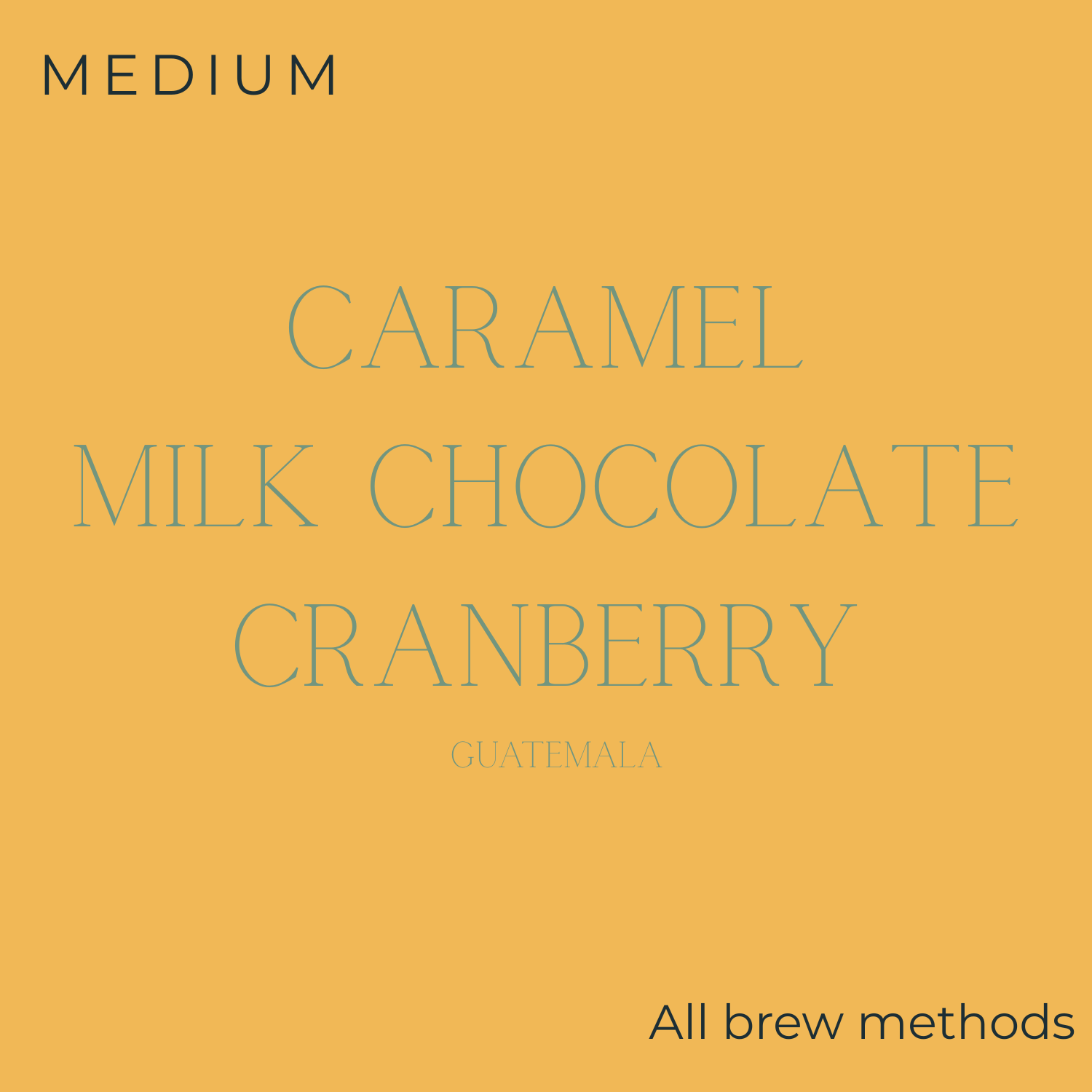 Roasti - Holiday Roast 2025 Coffee Beans