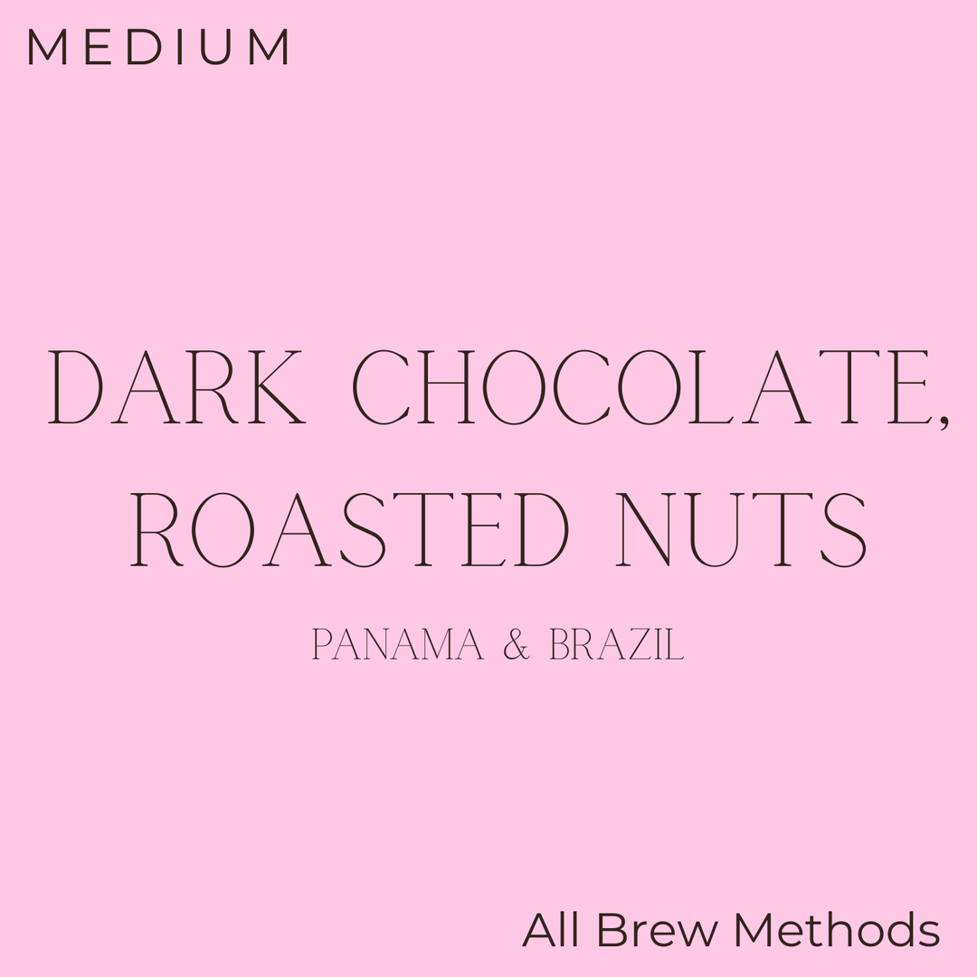 Rosso - Homebody Medium Roast Coffee Beans