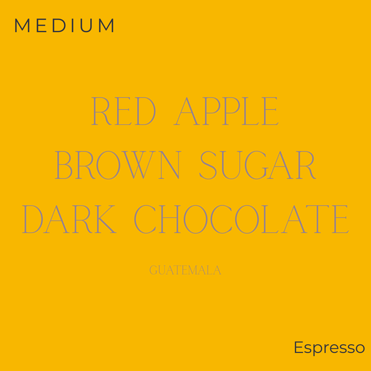 Thom Bargen - Guatemala - Jabiru Union Espresso Coffee Beans