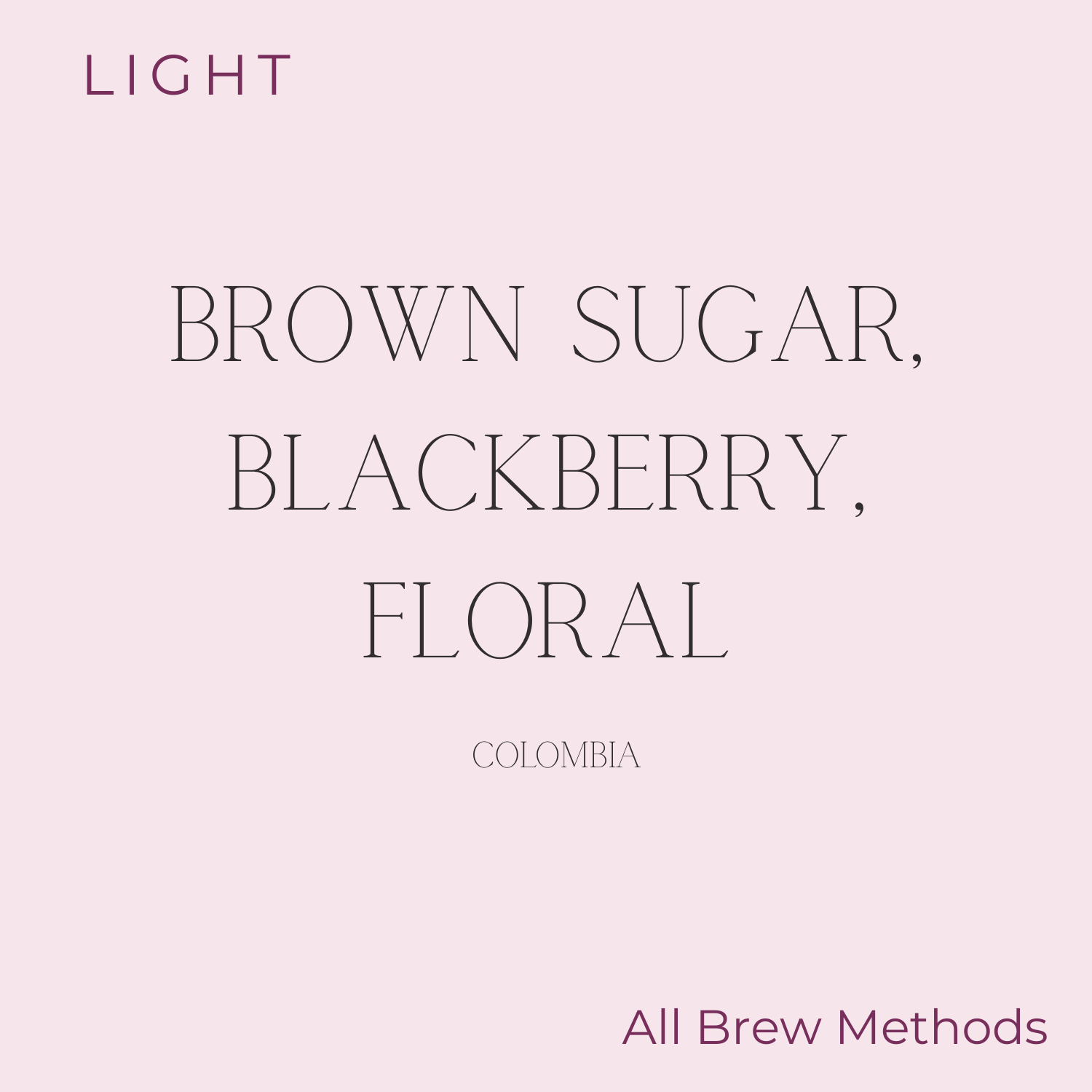 Phil & Sebastian - Jose & Francy Martinez Pink Bourbon Coffee Beans